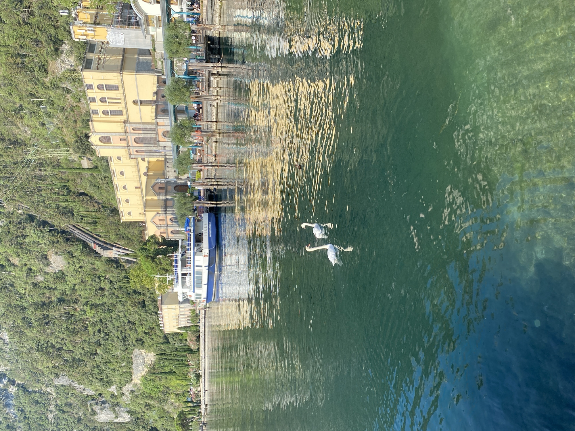 Two white swans are swimming in the clear, green water of a lake, with their reflections visible beneath them. In the background, a blue and white passenger boat is docked at a pier. The pier is lined with wooden posts and a railing, and several people are visible walking and sitting on it. Beyond the pier, a large, yellow building with arched windows stands against a backdrop of a steep, tree-covered mountainside. The building appears to be a historic structure, possibly a power plant, given the presence of large pipes running up the mountainside behind it. The scene is set in Riva del Garda, Italy, a town known for its stunning lake and mountain scenery. The water is calm, and the sunlight creates dappled reflections on its surface. The overall atmosphere is peaceful and picturesque, capturing a serene moment by the lake.
