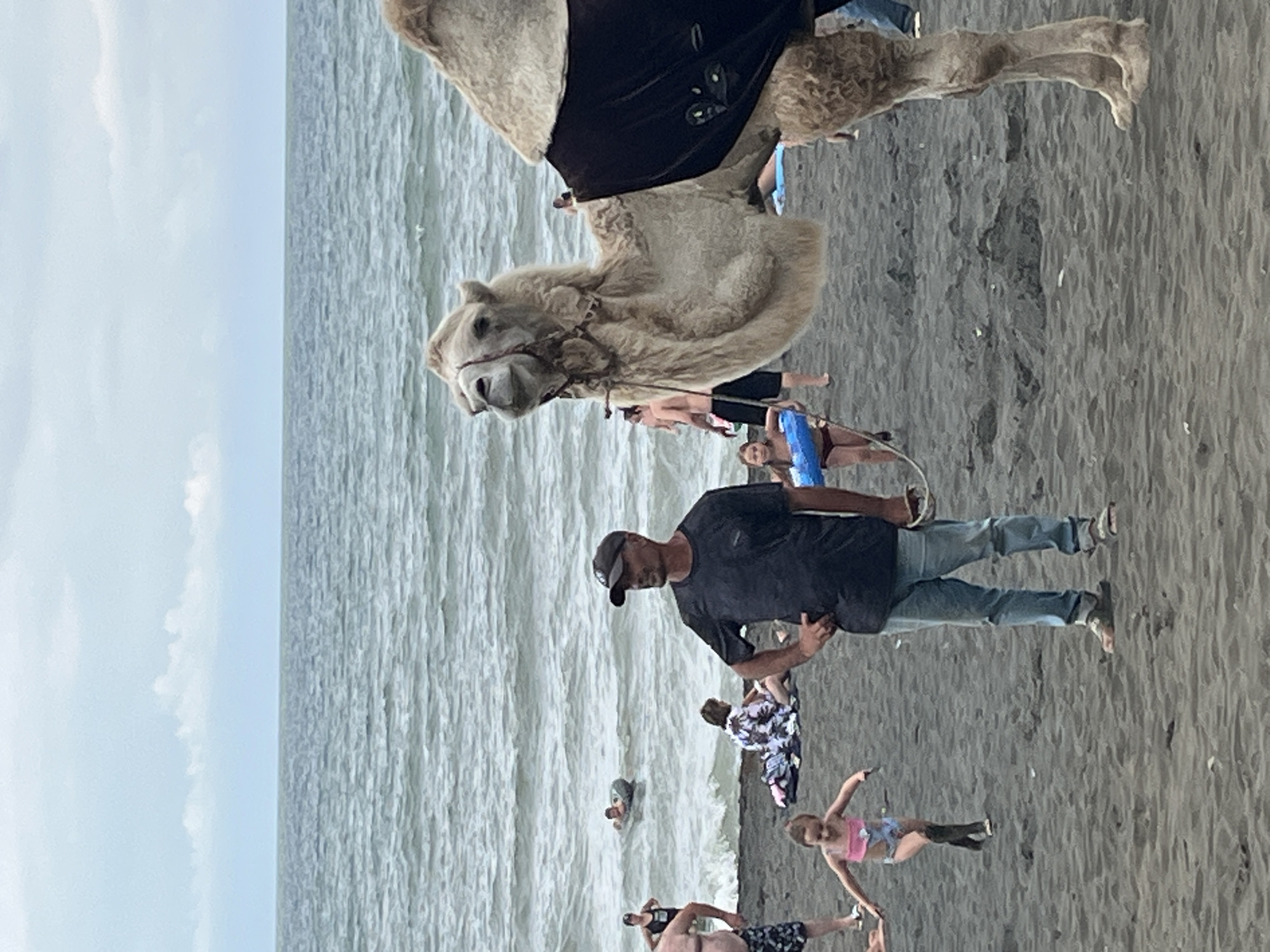 This media file depicts a beach scene in Ureki, Georgia. The central subject is a camel, fitted with a dark blanket or saddle, standing on a sandy beach. The camel appears to be a tourist attraction, as several people are visible in the background, interacting with the camel and the water.
The scene includes a body of water, likely the sea, with gentle waves. The beach itself is composed of dark sand, typical of Ureki. People of various ages are present, some are wading in the water, while others are walking on the beach. Among the visible subjects are a man in a black t-shirt and jeans, who is gesturing, and a young girl in a pink top and patterned shorts, with her arms outstretched. Other individuals are partially visible, including a person in a black and white patterned outfit.
The weather appears to be overcast, suggested by the soft lighting and muted tones. The time of day is difficult to ascertain precisely but seems to be daytime. The overall atmosphere suggests a relaxed, recreational outing at the beach. No visible text is present in the image.