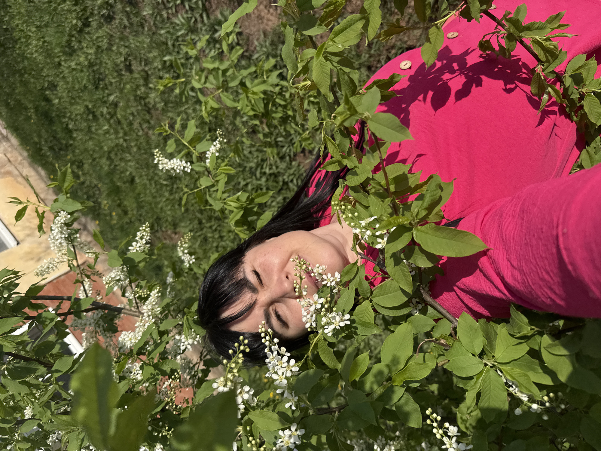 A woman lies amongst the branches of a flowering tree, her eyes closed and her face peaceful. She wears a vibrant pink shirt with button closures. The tree branches, adorned with green leaves and small white flowers, surround her. Beyond the tree, a patch of green grass is visible. The image appears to be taken in Zav'yalovo, Russia.