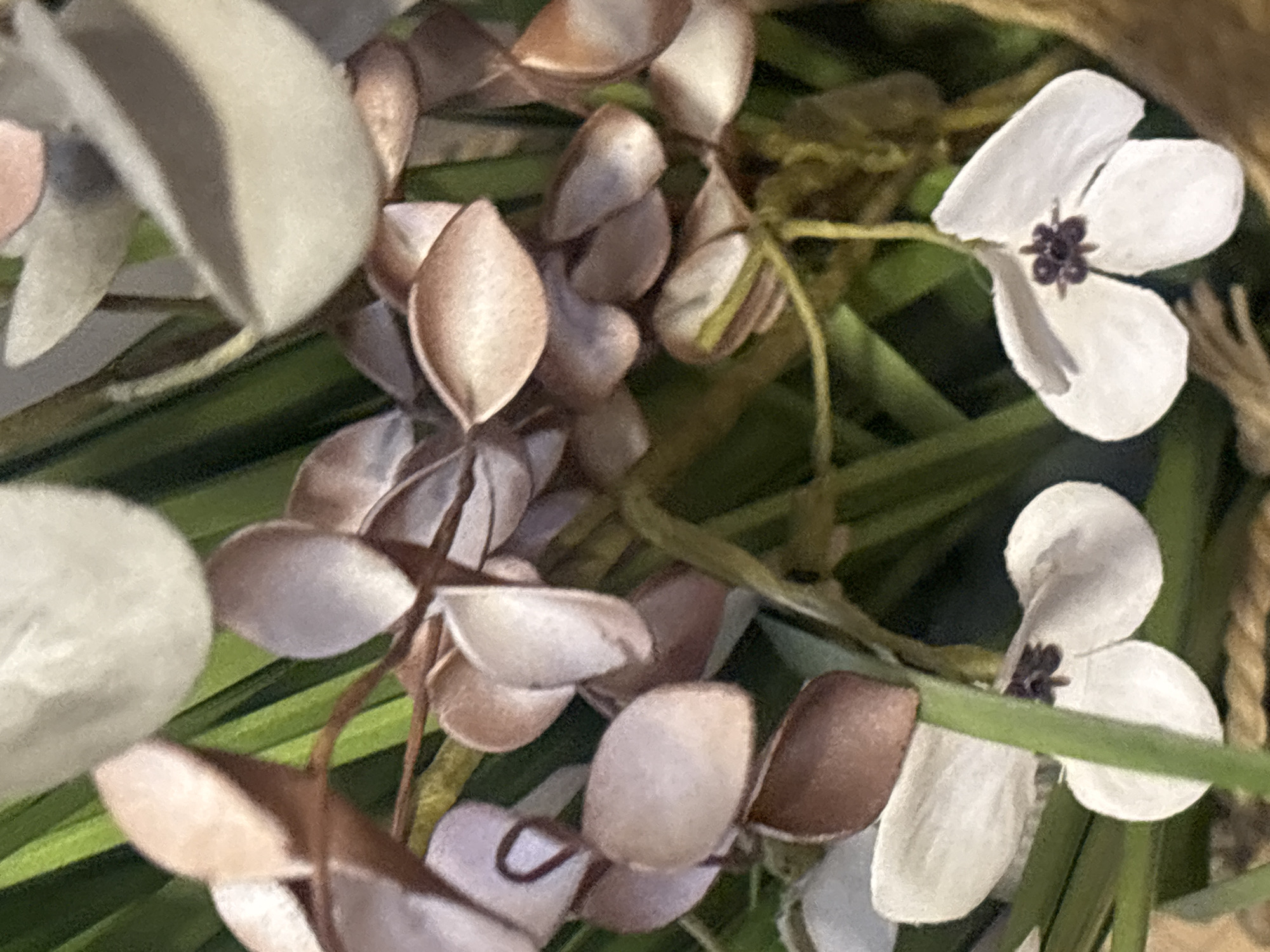 A close-up, slightly tilted view showcases a decorative arrangement, likely part of a wreath, centerpiece, or floral display, in Plovdiv, Bulgaria. The primary subjects are artificial elements designed to resemble natural flora.
In the foreground and mid-ground, numerous small, ovate or teardrop-shaped objects cluster on delicate stems. These objects are a light brown or beige color, some exhibiting a subtle metallic sheen, resembling dried seed pods or stylized leaves. Interspersed among these are several artificial white flowers, each featuring four distinctly visible petals and a dark, almost black, center that mimics stamens or a pistil. One prominent white flower is visible towards the upper right, and another towards the lower right of the frame, partially obscured.
The background is composed of long, thin, flat artificial green leaves or grass-like elements, providing a vibrant contrast to the earthy tones of the other decorative pieces. To the right and upper right, a segment of braided, rope-like material, possibly jute or a similar natural fiber, suggests the edge of a basket, wreath, or other rustic container.
The lighting is soft, highlighting the textures of the artificial components. The overall impression is one of crafted beauty, designed for aesthetic appeal, perhaps with a natural or rustic theme. No specific activity is taking place, as the image captures a static arrangement. There is no visible text in the image.