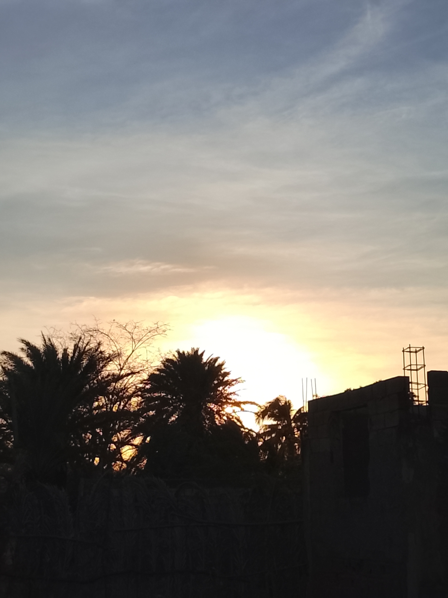 The image depicts a serene sunrise or sunset scene in Altagracia, Venezuela, characterized by a vibrant sky and silhouetted foreground elements. The sky dominates the upper two-thirds of the frame, showcasing a gradient of colors from soft blue-grey at the top to warm yellows and oranges towards the horizon. The sun, a bright and intense orb, is positioned low in the sky, partially obscured by the foreground. Thin, wispy clouds are scattered across the sky, diffusing the light.
In the lower third, various subjects are rendered in dark silhouette against the bright sky. On the left and center, several palm trees with dense fronds are visible, alongside another tree with intricate, bare branches. These trees partially cover the glowing sun. To the right, a dark, angular structure, likely an unfinished building made of concrete blocks, stands out. Rebar rods protrude upwards from its edges, and a rectangular rebar cage is visible on its far right side, indicating ongoing construction. Below the trees and the building, a dark, indistinct mass suggests a fence or lower wall.
The scene captures the peaceful atmosphere of the golden hour, with the strong contrast between the illuminated sky and the dark foreground elements creating a striking visual composition. No text is visible in the image.