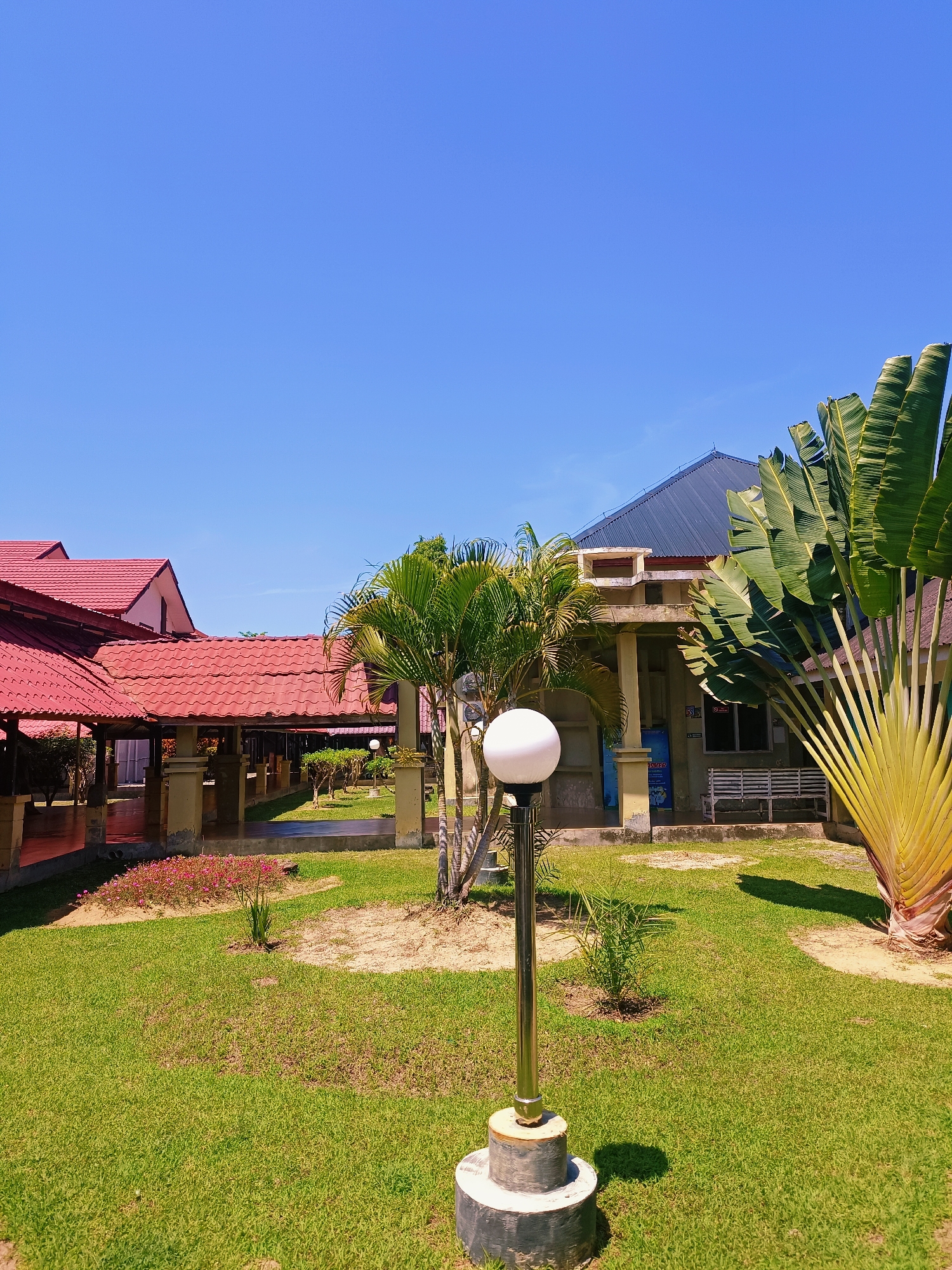 The image depicts an outdoor scene under a clear blue sky. In the foreground, a modern lamppost with a white spherical light is positioned on a circular concrete base. The lamppost is made of polished metal. Surrounding the lamppost is a well-maintained green lawn with patches of bare earth. To the left, a building with a distinctive red tiled roof and covered walkways supported by pillars is visible. Further back, another building with a dark, sloped roof is present. To the right of the lamppost and in the midground, a large, fan-shaped palm tree with vibrant green fronds stands prominently. In front of the dark-roofed building, a white bench is situated. Scattered throughout the scene are various palm trees and small bushes, adding to the tropical ambiance. The location is identified as Mesjid Reuntoh, Indonesia.
