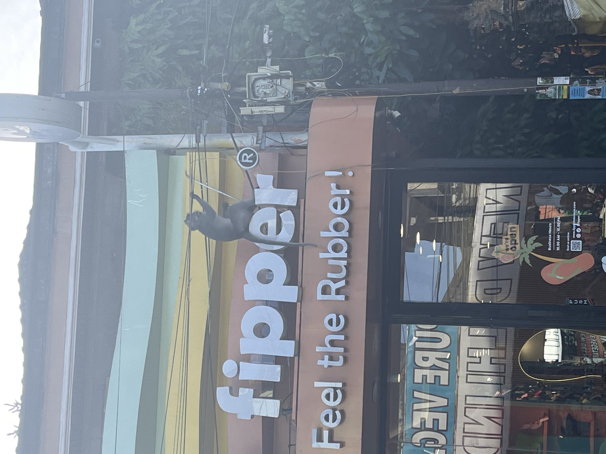 The image shows the storefront of a "fipper" store in Ubud, Indonesia, with a monkey climbing on the signage. The store's sign reads "fipper" with a registered trademark symbol, followed by the tagline "Feel the Rubber!" Below, storefront windows with reflections show "WE'RE OPEN" signs, business hours, and flip-flops on display. Overhead power lines are visible, and trees are blurred in the background.