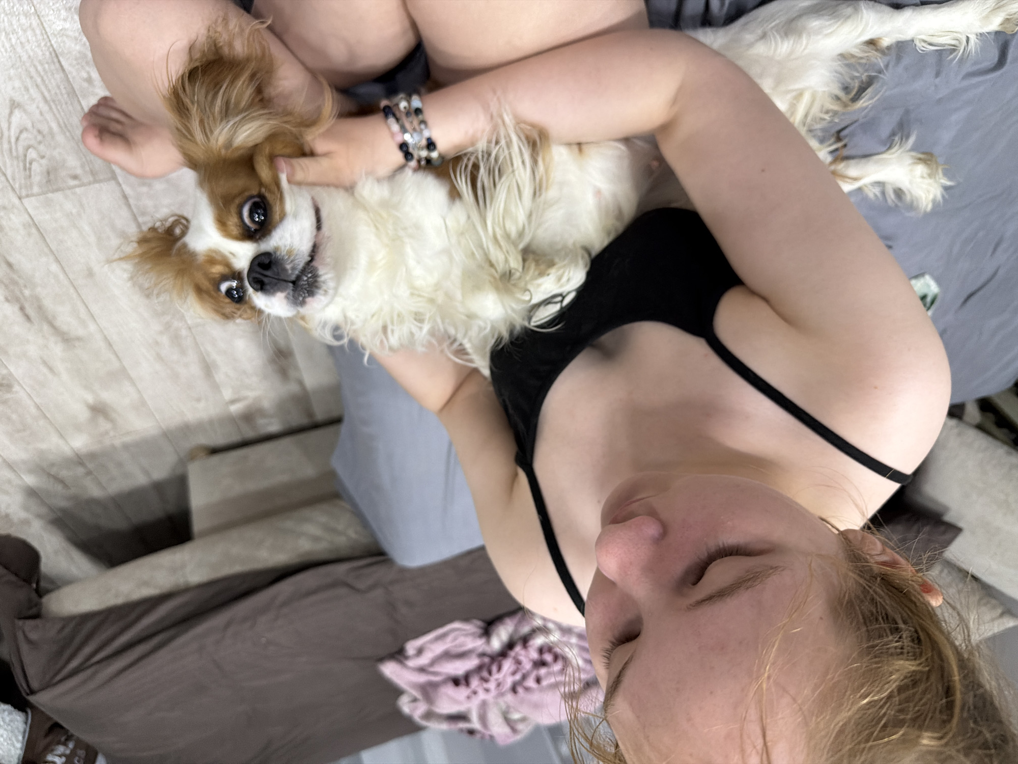 A woman in a black tank top is holding a Cavalier King Charles Spaniel dog. The dog is tan and white with brown ears and is looking at the camera. The woman is light-skinned with blonde hair. She is wearing a bracelet. The background includes a bed with grey and brown bedding, and a light wood-colored floor. The location is implied as indoors. There are no other indications of the location being Chaikovsky, Russia.