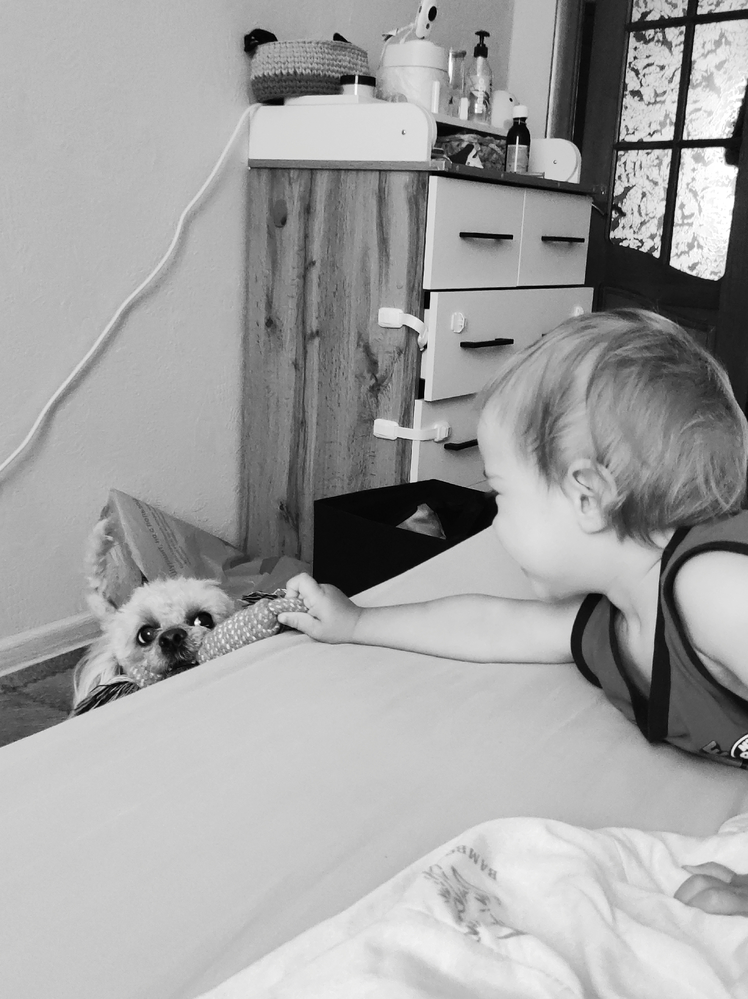 A black and white indoor photograph shows a young child and a small dog in a room. The child, seen from the side, is lying on a bed, reaching with their right arm toward a toy. The dog, with white fur and expressive eyes, is standing on the floor, partially visible behind the bed, tugging at the other end of the same toy.
Behind the bed is a light-colored cabinet with two visible drawers and a black box underneath. On top of the cabinet are various items, including a woven basket and a white bottle. A white cord is running up the wall to the left of the cabinet. To the right of the cabinet is a window with a textured glass pane.
The bed is covered with a light-colored sheet, and a white blanket with a pattern is visible at the bottom of the frame.
There is no indication of the location being the city of Chaikovsky, Russia in the image.