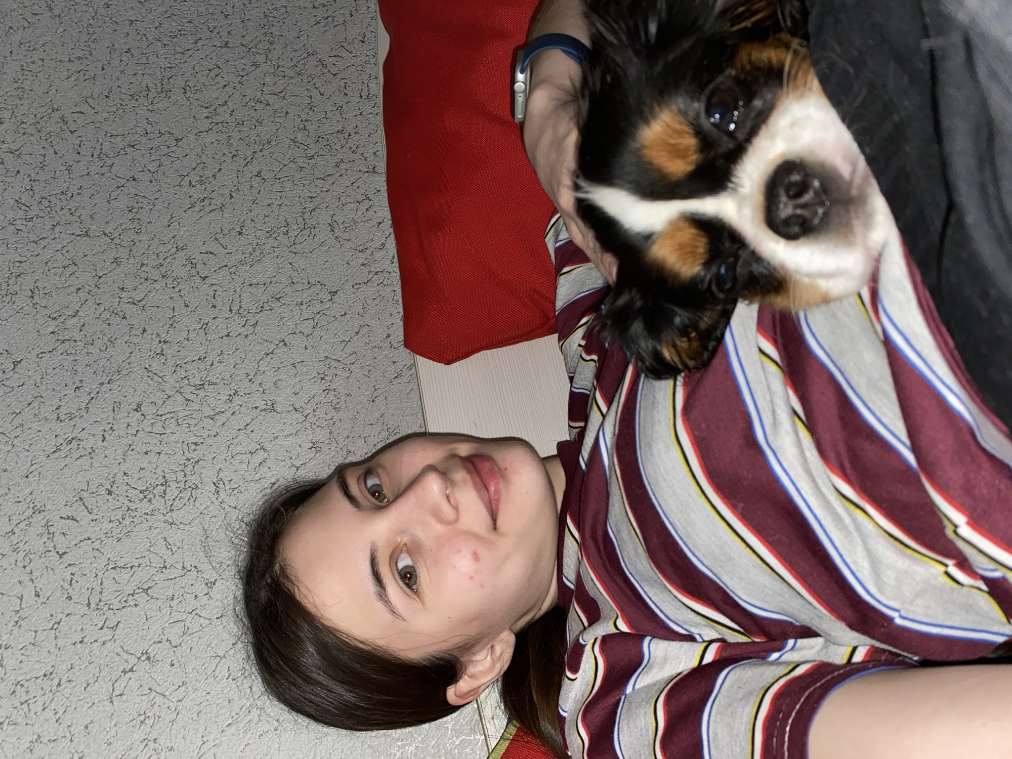 This indoor photograph, taken in Votkinsk, Russia, captures a young woman and her dog in a moment of companionship. The image is oriented sideways, with the woman lying on her back, her head resting on a red pillow or cushion. She looks towards the camera with a gentle smile, displaying dark hair and a striped shirt in shades of burgundy, grey, white, blue, and yellow. A watch with a blue band and silver face is visible on her left wrist.
Nestled closely beside her is a tri-color dog, likely a Cavalier King Charles Spaniel, with black, tan, and white fur. The dog's head, featuring dark, soulful eyes and a black nose, is prominent in the frame, also looking towards the viewer. Its position suggests it is resting comfortably on or near the woman.
The background primarily consists of a light grey, textured wall or wallpaper with a subtle, abstract pattern. A strip of light-colored wood is visible towards the bottom right of the frame, possibly part of the floor or furniture. The lighting is soft, consistent with an indoor setting. The scene conveys a sense of warmth, affection, and relaxation between the woman and her pet. No text is visible in the image.