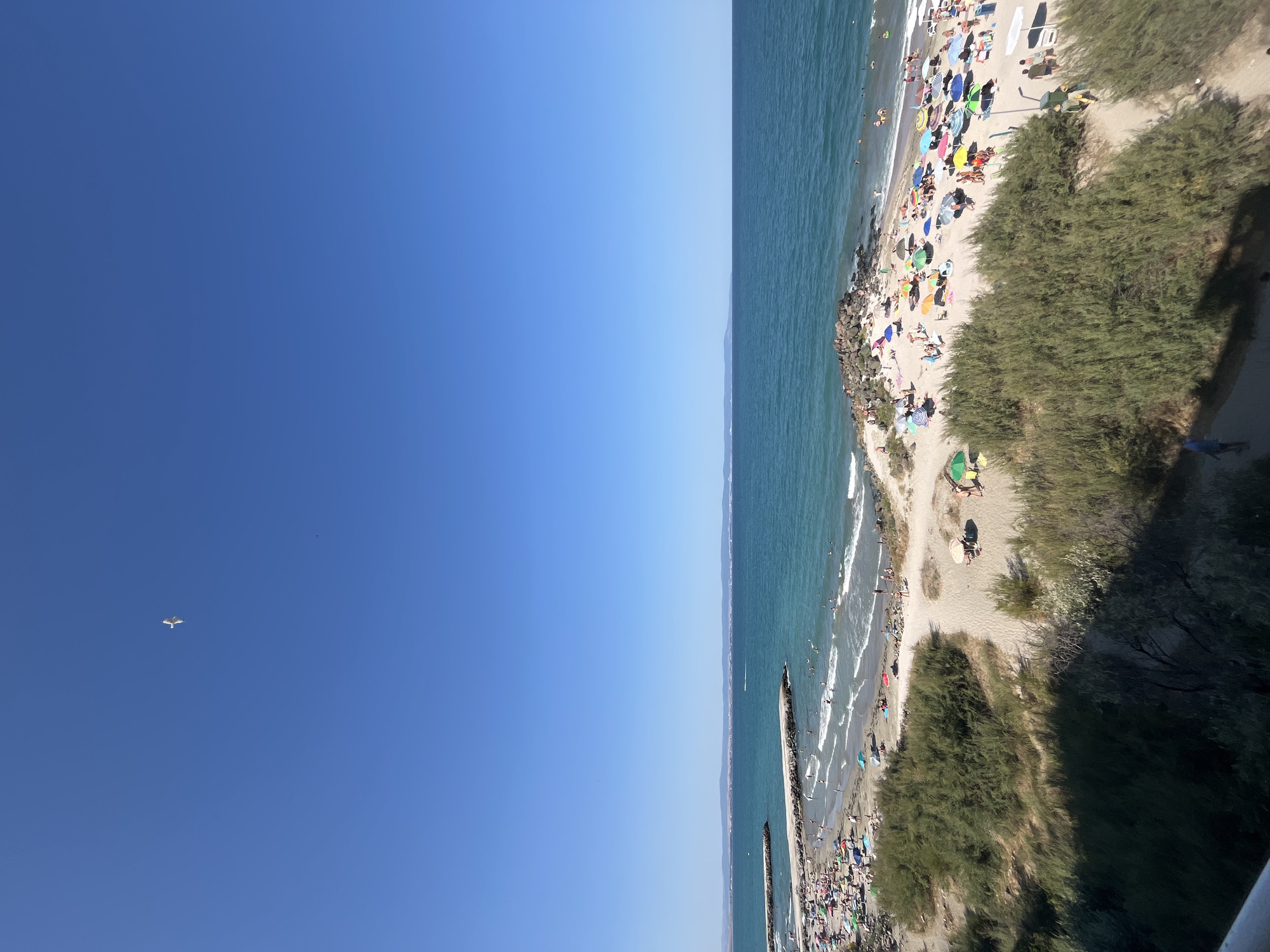 This is a high-angle, wide shot of a crowded beach in Pomorie, Bulgaria, on a clear, sunny day. The turquoise sea meets a sandy beach dotted with numerous beach umbrellas of various colors, providing shade for sunbathers. People are spread across the sand, some swimming in the gentle waves, others lounging under umbrellas, and a few walking along the shore. Two stone breakwaters extend into the sea, with a few people near them. Dense, green shrubbery lines the edge of the beach, separating it from an unseen area. The sky is a vast expanse of clear blue, with a single white seagull in flight near the top center. In the distance, the coastline is visible with low hills. The overall impression is a lively summer day at a popular seaside resort.