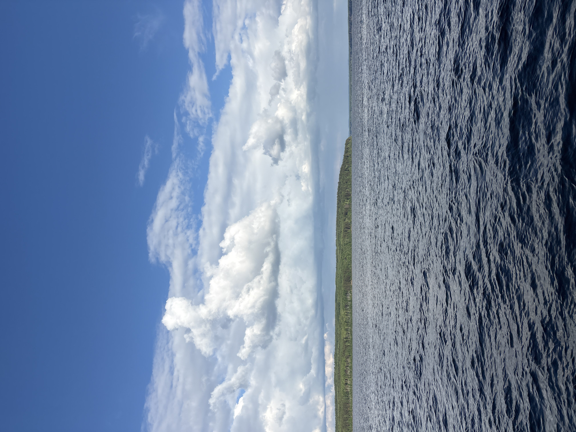 This landscape image presents a serene view of a vast body of water under a dynamic sky, characteristic of the Votkinsk Reservoir near Chaikovsky, Russia. The scene is divided horizontally into three main elements: sky, a distant treeline, and water.
The upper portion of the frame features a bright blue sky, partially filled with an array of white and light grey clouds. These range from scattered, wispy formations to larger, puffier cumulus clouds, indicating fair weather conditions and good visibility. The sunlight illuminates the clouds, highlighting their shapes and textures.
A narrow, dark green band stretches across the horizon, forming the middle section of the image. This distinct line represents a distant treeline, suggesting a forested shoreline bordering the expansive reservoir. The trees appear dense and uniform, blending into a consistent green hue.
The lower half of the image is dominated by the water, which appears in deep shades of blue and grey. Its surface is covered with countless ripples and small waves, creating a textured pattern that catches the light. These gentle undulations suggest the presence of a light breeze, adding a subtle sense of movement to the otherwise calm scene. The ripples are more pronounced in the foreground and soften towards the distant horizon.
The photograph captures a peaceful moment during daylight hours, likely late morning or afternoon, with ample natural light. There are no people, man-made objects, or visible text present, focusing solely on the natural beauty of the expansive reservoir and its surroundings.