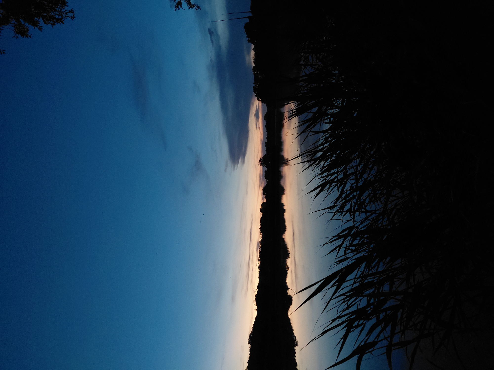 The image depicts a tranquil scene at dusk by a body of water, likely a river or lake, in or near the village of Ustyvytsia, Ukraine. The sky is a deep blue, transitioning to lighter shades of blue and soft orange near the horizon, indicating the sun has recently set. Wispy clouds are visible, some darker and more defined, others lighter and diffused.
The foreground is dominated by the silhouette of tall, dark grass or reeds, creating a natural frame for the composition. The water's surface is calm and reflects the colors of the sky and the dark, silhouetted treeline that borders the opposite bank. The treeline is thick and irregular, punctuated by a few taller, bare branches or thin trees.
There are no visible people or animals in the scene. The environment appears natural and undeveloped, suggesting a rural or semi-rural setting. The overall atmosphere is peaceful and serene, characteristic of twilight in a natural landscape. The image captures the fading light and the quiet beauty of the transition from day to night.