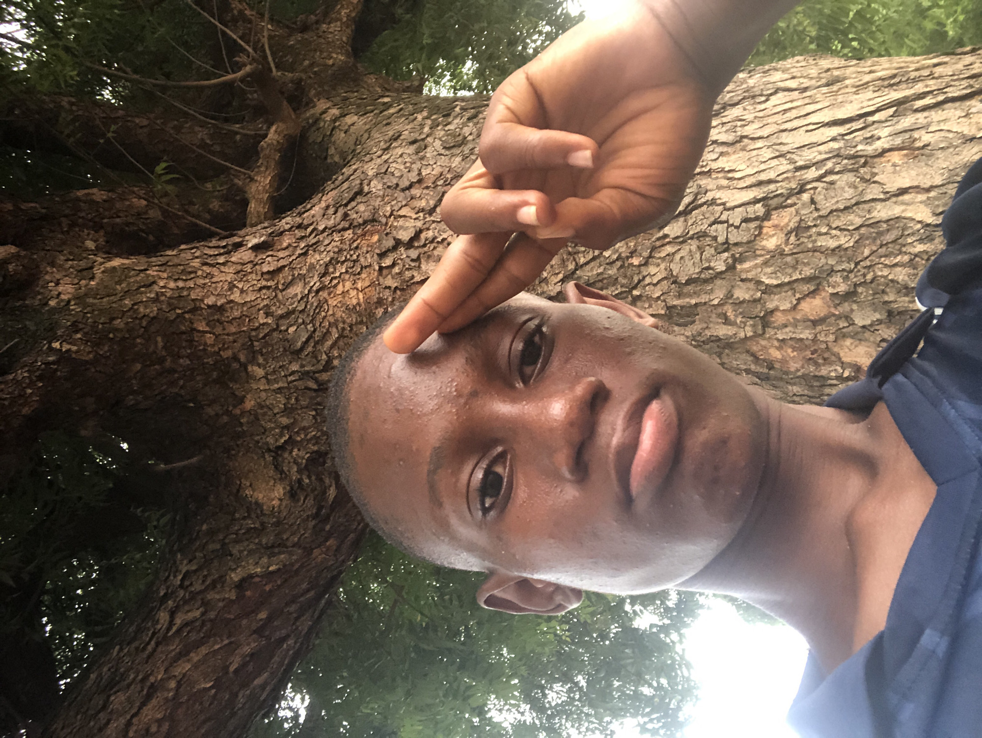 An outdoor, tilted selfie captures a young person with dark skin and short hair, likely male, in Nsugbe, Nigeria. The person is positioned off-center, looking directly at the camera with a neutral to slightly contemplative expression. Their face shows a subtle sheen, possibly due to sweat or humidity. Their left hand is raised above their head, with two fingers (index and middle) pointing towards their forehead in a distinctive gesture. They are wearing a dark blue shirt or jacket, visible on their right side.
The dominant background is a large tree trunk with rough, deeply textured brown bark, oriented diagonally across the frame from the top left to the bottom right, suggesting the image was taken from a low angle looking up. Lush green foliage is visible through the tree branches, and glimpses of bright sky indicate it is daytime. The natural lighting is bright and even. No text is visible in the image.