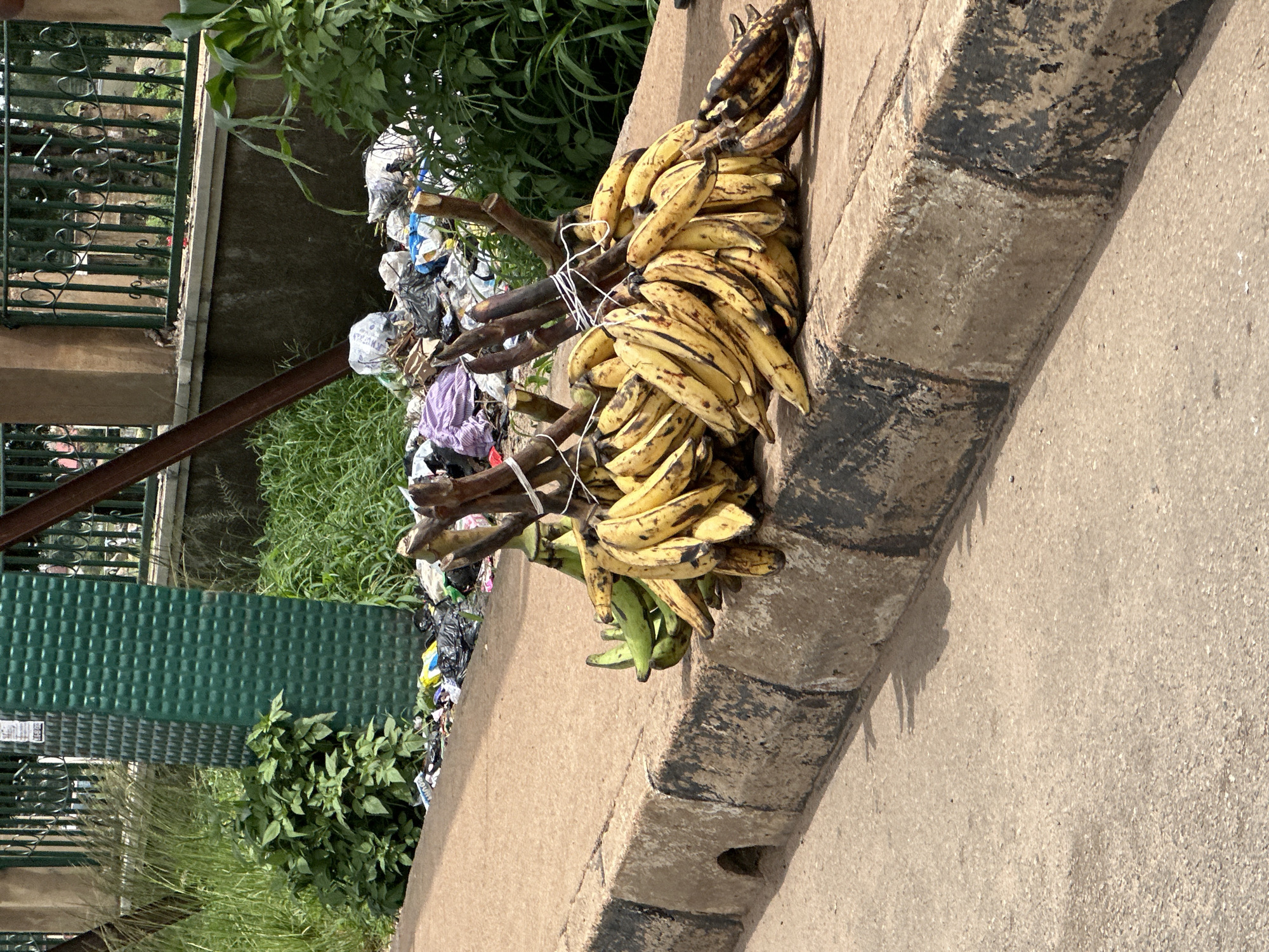 The image shows a roadside scene in Gura Top, Nigeria. In the foreground, a concrete curb separates a paved road from a strip of dirt and vegetation. Resting on the curb are several bunches of bananas, some appearing ripe yellow and others still green. Behind the bananas, a pile of garbage is visible, including plastic bags and various other discarded items. In the background, there is lush green vegetation and a metal fence with decorative elements. A tall, textured green column stands near the fence, possibly part of a structure or advertisement. The overall impression is one of an urban roadside environment with elements of commerce and refuse.