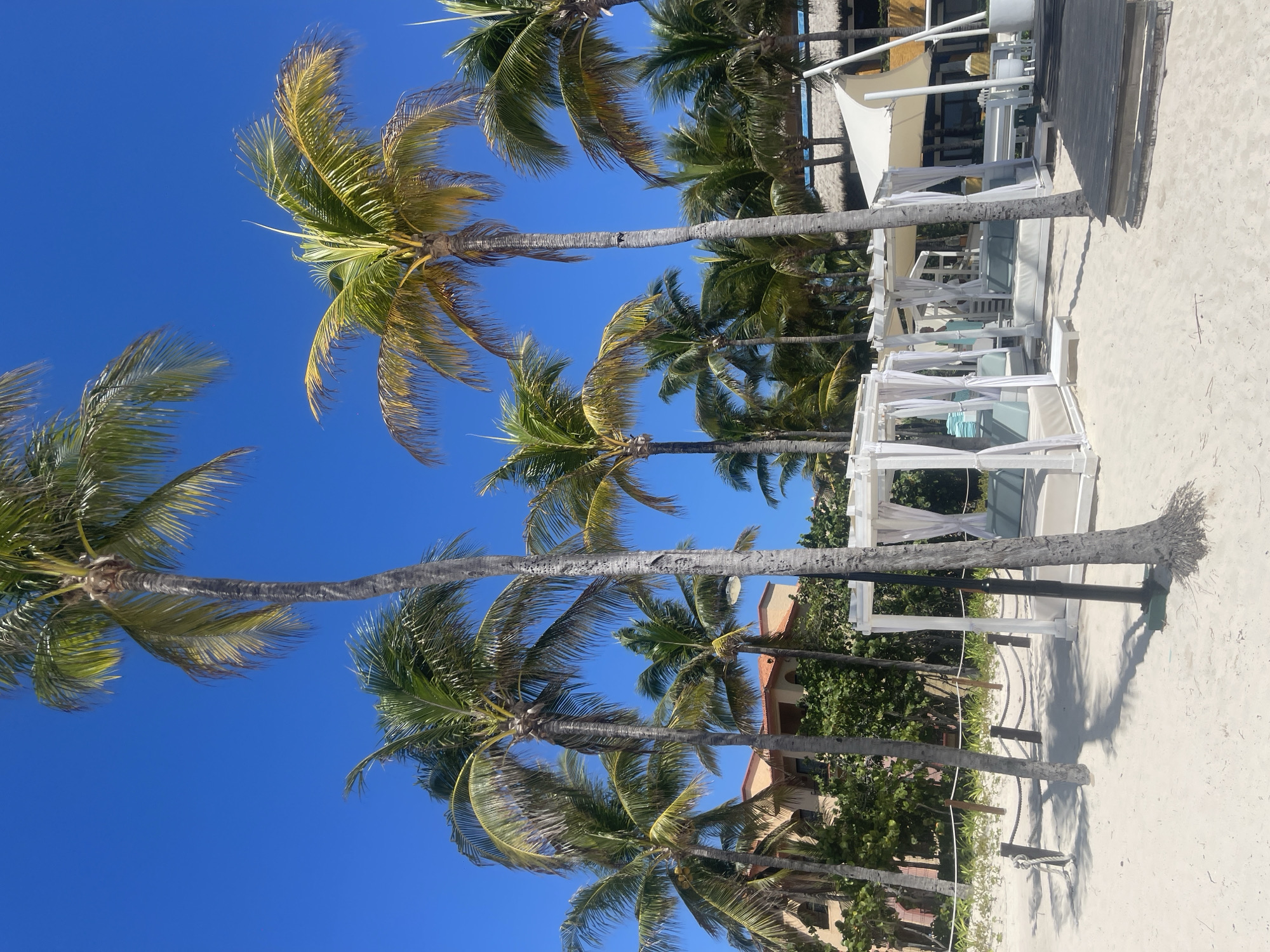 The image shows a beach scene in Playa del Carmen, Mexico. Several palm trees are visible against a clear blue sky. On the right side of the frame, there are white beach cabanas. The sand is white.