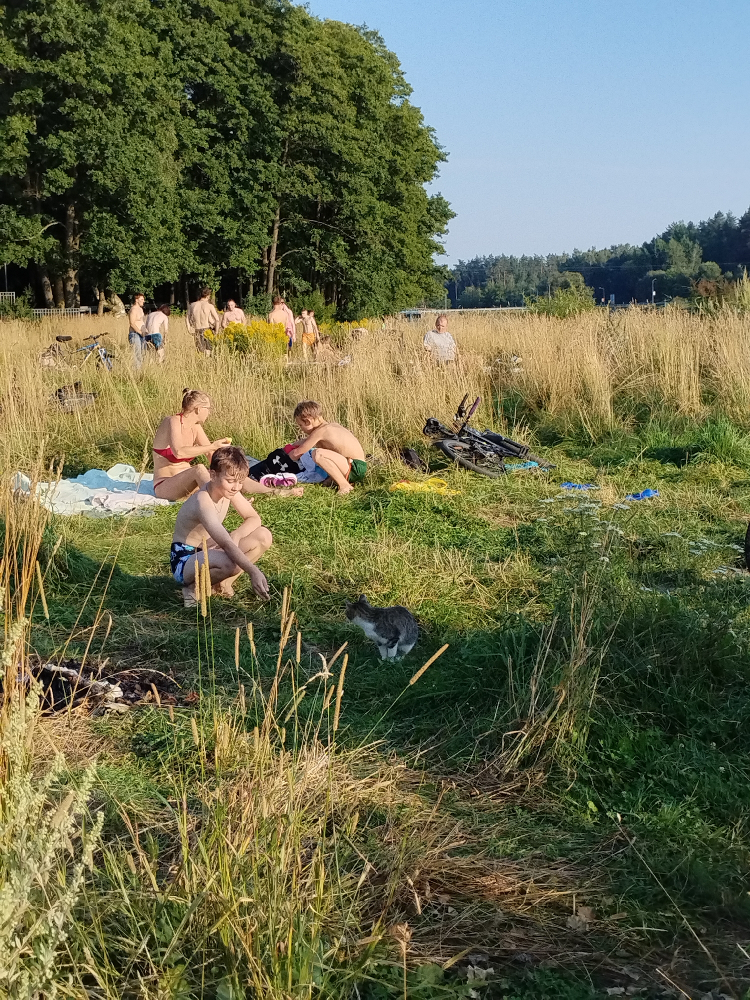 The image depicts a group of people gathered in a grassy field with tall dry grass in the foreground and middle ground. In the background, a line of trees forms a dense canopy. The sky is a clear, bright blue. Several individuals, appearing to be young adults and possibly children, are seated or standing on blankets and in the grass, some in swimwear. Two bicycles are visible among the grass. A cat is also present, sitting on the grass in the lower right quadrant of the image. The overall setting suggests an outdoor recreational activity, possibly a picnic or a gathering by a body of water, given the presence of swimwear. The location is identified as Навадворскі сельскі Савет, Belarus.