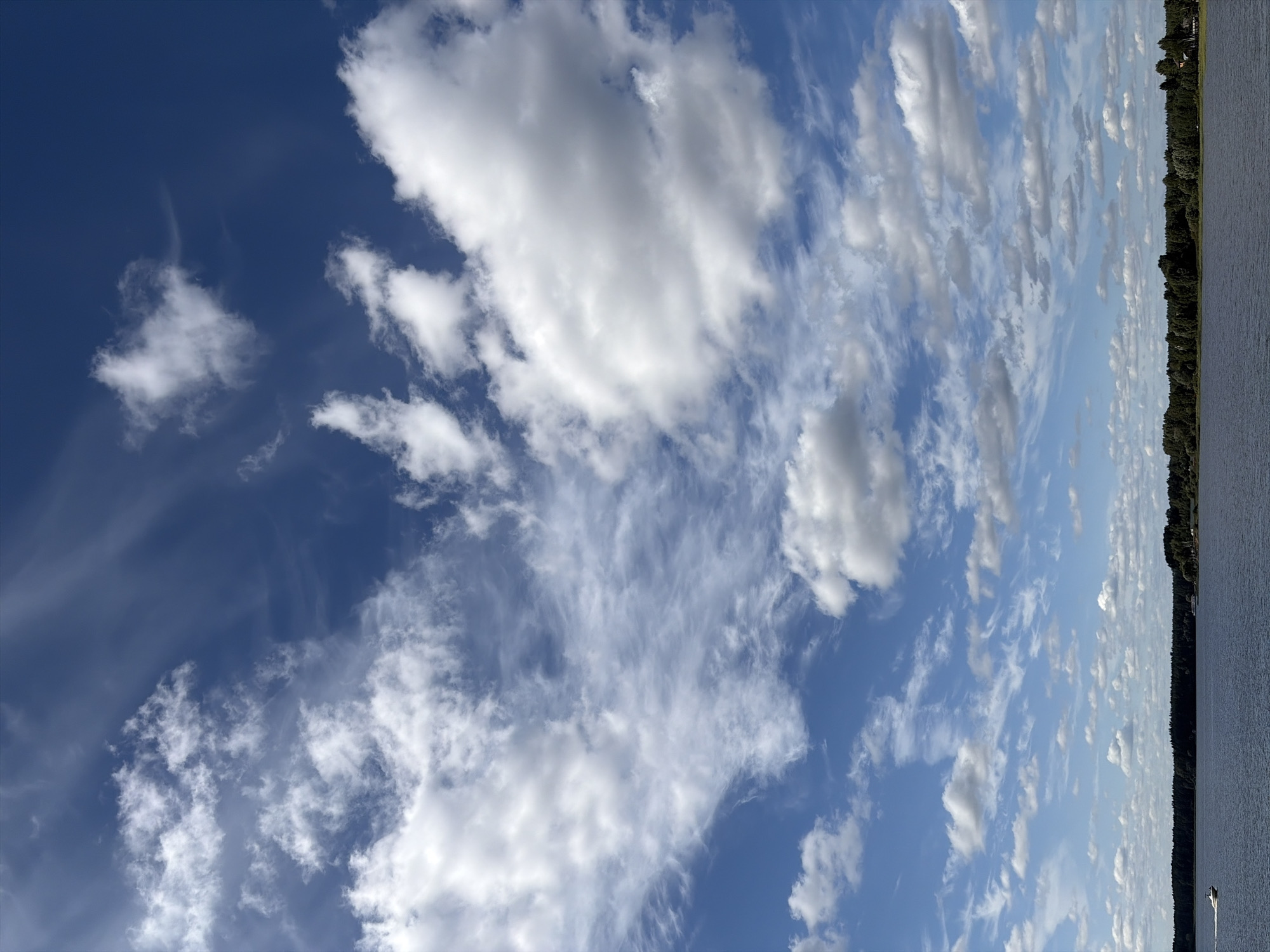 The image depicts a wide view of a body of water under a dynamic sky with scattered clouds. In the foreground, the water stretches across the lower portion of the frame. The horizon is lined with a dense, dark green forest that forms a natural boundary. Above the forest, the sky is a vibrant blue, populated by various types of clouds, including wispy cirrus formations and more substantial cumulus clouds. The overall scene suggests a natural landscape, likely a lake or a large river, within the city of Vidogoshchi, Russia, as indicated by the context. There are no people clearly visible in the image, and the only man-made objects are distant structures within the treeline and a small white boat moving on the water in the lower left corner.