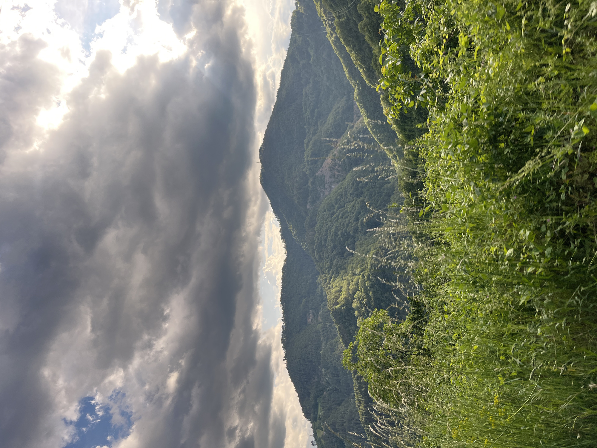 This is a photograph of a mountainous landscape, likely taken from a moving vehicle, with lush green vegetation in the foreground and rolling hills covered in trees in the background. The sky is partly cloudy with patches of bright sunlight breaking through the dark clouds. There are no people or animals visible in the frame. The scene appears to be in a rural area, possibly in the vicinity of Pechinska, Bulgaria, given the natural beauty and terrain. The lighting suggests it may be late afternoon or early evening, with the sun casting long shadows. The overall impression is one of natural beauty and tranquility.