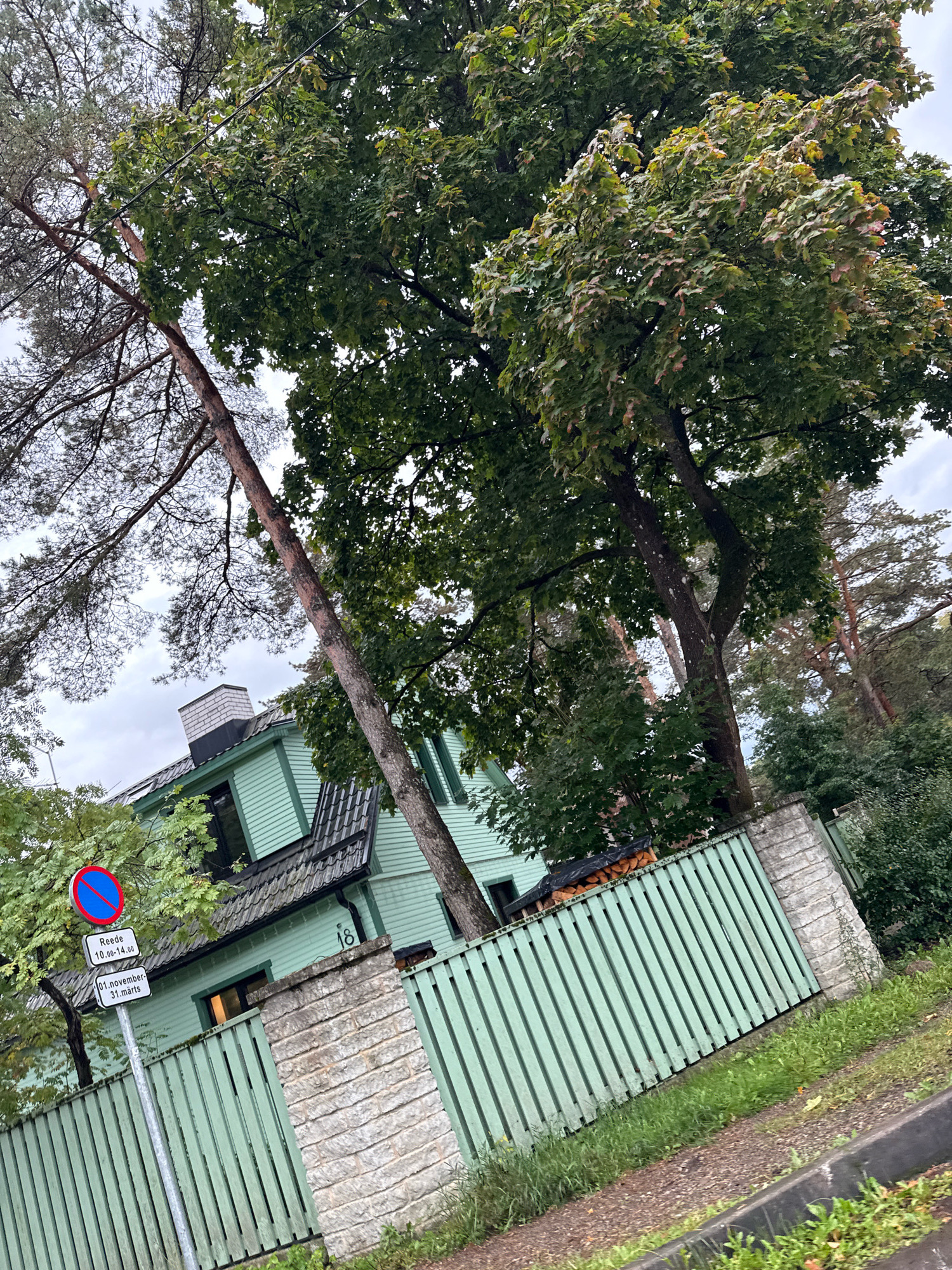 This image depicts a view of a light green wooden house with a dark roof and a chimney. A light green slatted fence runs along the front of the property, with a stone section on the right side. Trees with green foliage are prominent in the foreground and behind the house. A street sign with red and blue markings and text in Estonian is visible on a pole near the fence. The street is visible in the lower right corner. The overall scene suggests a residential area in a city. Based on the street sign which reads "01.november - 31. märts" and "Reede 10.00-14.00" and the house number "18", this is likely a residential street in Tallinn, Estonia.