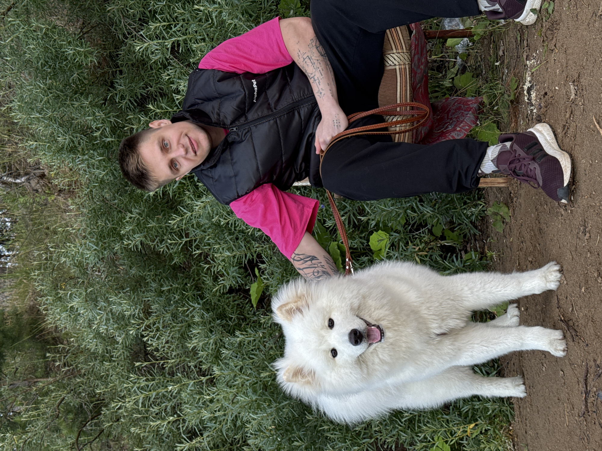 A young man with short, styled blond hair and blue eyes is seated on a chair outdoors, with a fluffy white Samoyed dog standing to his left. The man is wearing a bright pink t-shirt, a black puffer vest with "AlphaPet" written on it, black sweatpants, and dark purple athletic shoes with white soles. He has tattoos on his right arm and is holding a brown leather leash. The dog is facing forward with its mouth slightly open and its tongue visible. They are positioned in front of a dense background of green foliage and trees. The ground beneath them is dirt with some fallen leaves and debris. The scene appears to be in a natural setting, possibly a park or wooded area within the city of Chaikovsky, Russia, given the presence of vegetation and the subject's attire, which is suitable for outdoor activities.