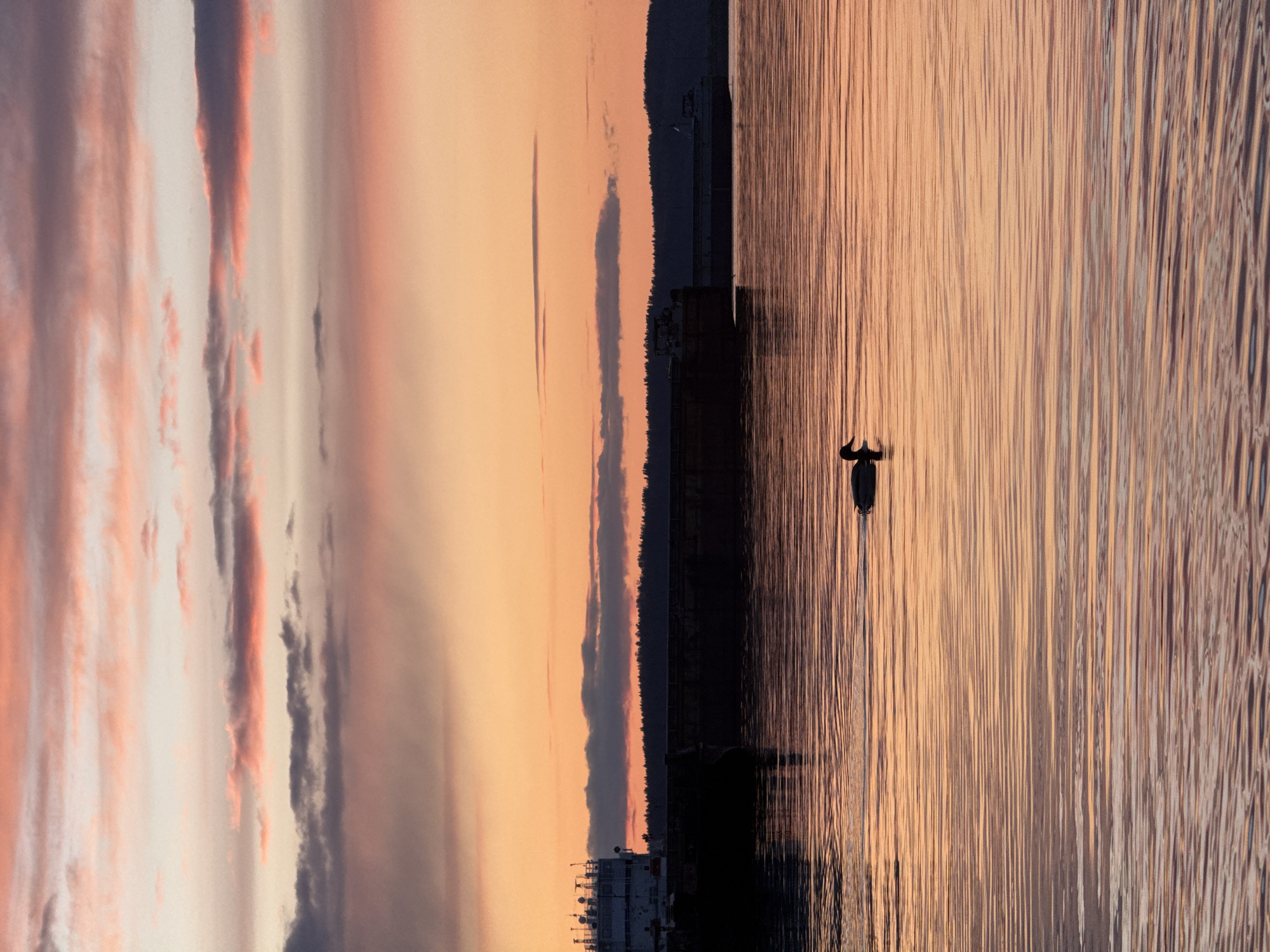 The image captures a serene landscape at either sunrise or sunset, presenting a tranquil water body under a vividly colored sky. The perspective is horizontally oriented, though the uploaded image is rotated vertically.
The upper portion of the scene (left side in the rotated image) is dominated by a expansive sky, painted with soft gradients of orange, pink, pale yellow, and hints of lavender and gray in elongated cloud formations. Below the sky, a dark, silhouetted landmass stretches across the horizon, appearing as a distant shoreline densely covered with trees or foliage. On the far left of this landmass, a complex, dark structure resembling a ship or industrial facility with multiple masts or antennas is visible.
The lower portion of the image (right side in the rotated image) features the calm water, which beautifully reflects the warm hues of the sky in elongated, vertical streaks of orange, golden, and faint purple light. In the lower-right section of the water, a dark, bird-like silhouette, possibly a duck or cormorant, is visible, appearing to be floating or swimming. The overall impression is one of peaceful natural beauty, with the warm light creating a dramatic and contemplative atmosphere over the waters near Chaikovsky, Russia. No visible text is present.