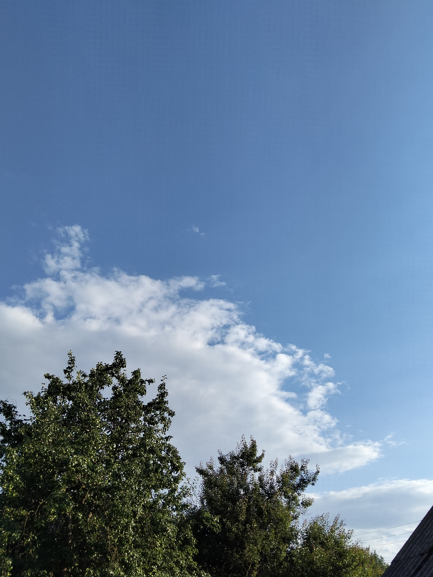 This is a vertical, low-angle, outdoor photograph taken during the day in Ustyvytsia, Ukraine. The image captures a clear blue sky with scattered white clouds, a common sight on a pleasant day. In the lower portion of the frame, the tops of several lush green trees are visible, their foliage dense and vibrant. The trees suggest a natural or rural setting, consistent with the provided location context. To the far right, the edge of a dark-colored, sloped roof is visible, hinting at the presence of a building or structure. The lighting and the bright sky suggest it is daytime, likely during the late morning or afternoon. There are no people or text visible in the image. The overall mood of the photograph is serene and peaceful, characterized by the expansive sky and the natural elements.
