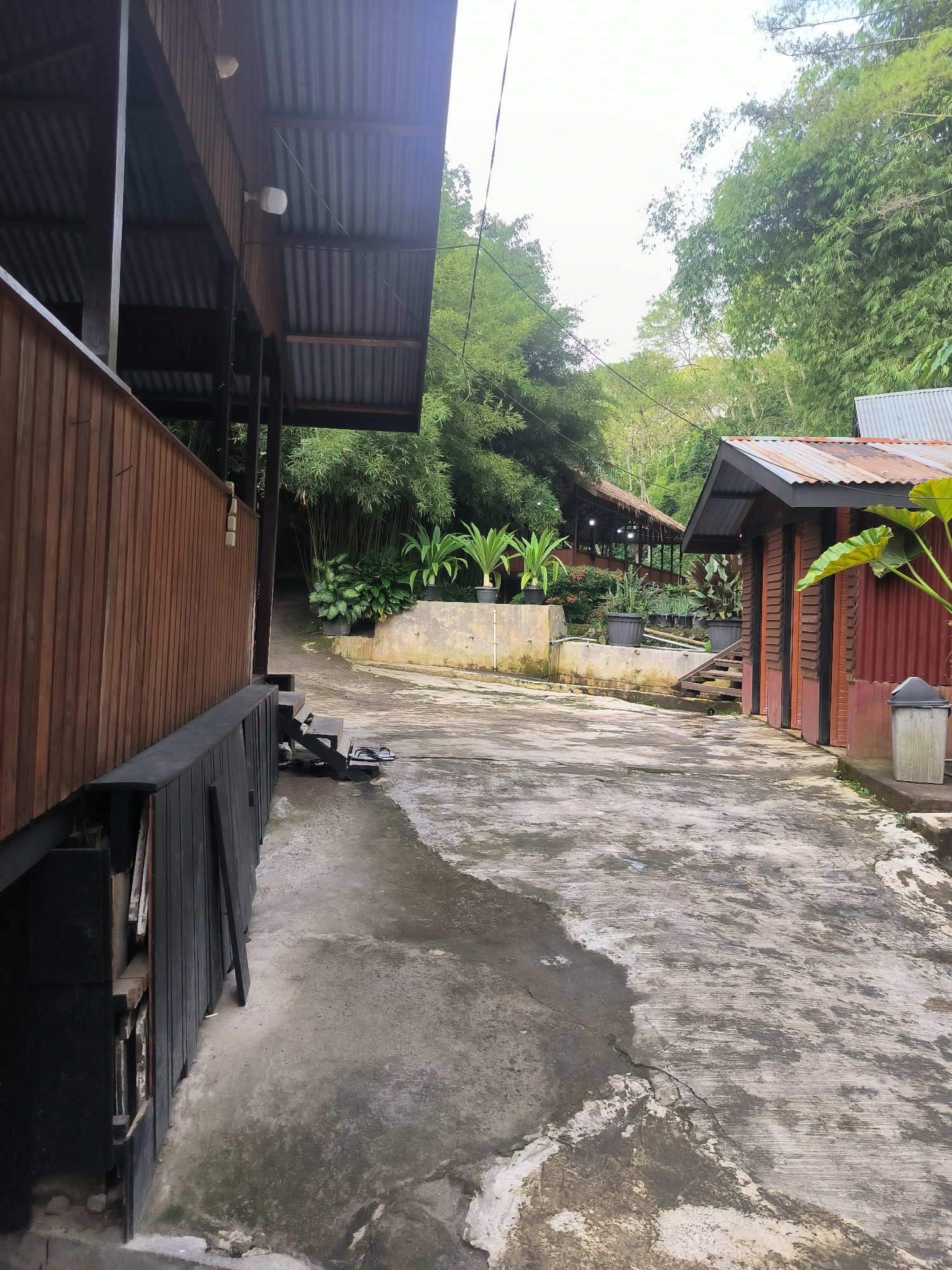 The image depicts a concrete pathway leading through a seemingly rural or semi-developed area, possibly a recreational or lodging facility, located in Tansaril, Indonesia. On the left, a wooden structure with a corrugated metal roof is partially visible. The structure has vertical wooden siding and a dark, slatted base. Adjacent to it, a portion of a dark-colored wooden wall or partition is seen.
The pathway is weathered and somewhat damp, with patches of moss and discoloration. To the right of the pathway, a small, reddish-brown wooden building with a rusty corrugated metal roof stands. This building has dark trim around its doors and windows. In front of this building, a grey trash bin is positioned on a concrete base.
Further into the scene, the pathway curves and leads towards more structures that appear to be open-air dining or seating areas, supported by wooden posts and covered with thatched or similar roofing material. These areas are illuminated by overhead string lights. Beyond these structures, lush green vegetation, including bamboo and broad-leafed plants, dominates the background, suggesting a tropical or subtropical environment. The sky is overcast and bright.
A pair of flip-flops rests on a small set of wooden steps leading up to an unseen area, possibly a porch or entrance. The overall impression is of a tranquil, natural setting with rustic accommodations. No people are visible in the image.