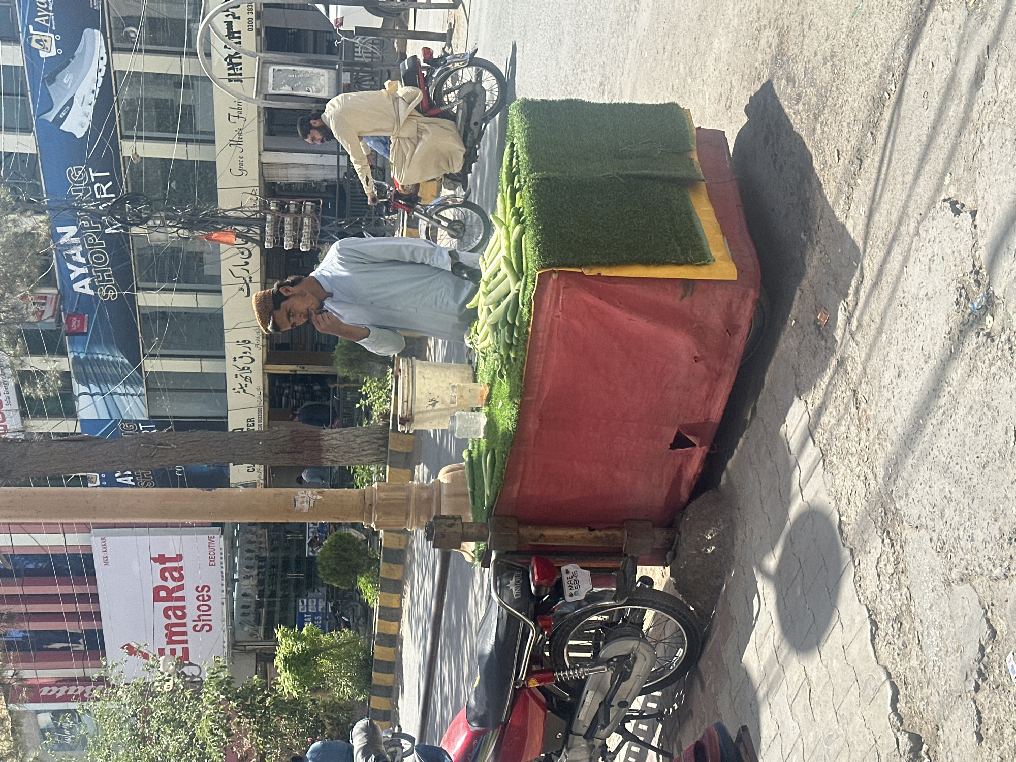 The image depicts a street scene in Quetta City Tehsil, Pakistan, with a vendor standing behind a red cart laden with vegetables, including gourds. The cart has a green artificial turf covering part of its surface. The vendor, wearing a light-colored shalwar kameez and a cap, appears to be examining the produce. Another person in a similar outfit is riding a bicycle in the background. A motorcycle is parked adjacent to the cart. The background reveals shops with signboards in Urdu and English, with the "AYAN SHOPPING MART" sign being prominent. Store signage such as “EmaRat Shoes” and “Grace Men’s Fabric” can be seen. A street light post is also visible. The street is paved and shows signs of wear.