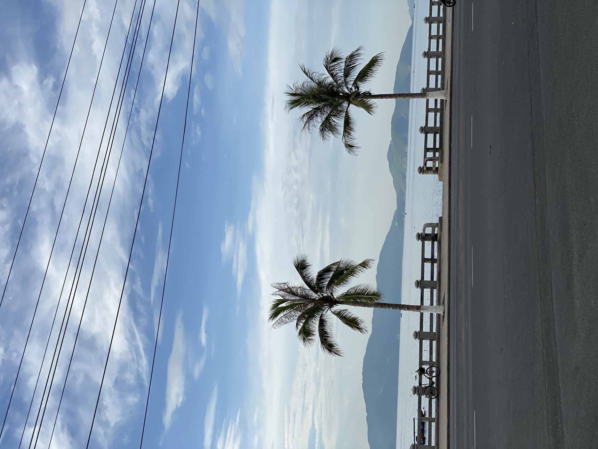 The image captures a street scene in Nha Trang, Vietnam, with a body of water, distant islands, and a bright sky. In the foreground, a gray asphalt road runs horizontally, with white lane markings. A paved sidewalk runs parallel to the road, bordered by a stone railing with rounded pillars and horizontal bars. Two palm trees stand on the sidewalk, their trunks painted white at the base. The left palm tree is taller and fuller than the one to its right. The water beyond the railing appears calm, with several boats visible in the distance. The horizon is marked by a chain of lush green islands. The sky is a mix of blue and white clouds, with several power lines crossing the upper portion of the frame. On the sidewalk to the left, a bicycle with a basket is parked. To the far right, a motorcycle is partially visible, heading away from the camera. The overall impression is of a coastal city, likely during daylight hours, with a gentle breeze suggested by the movement of the palm fronds.