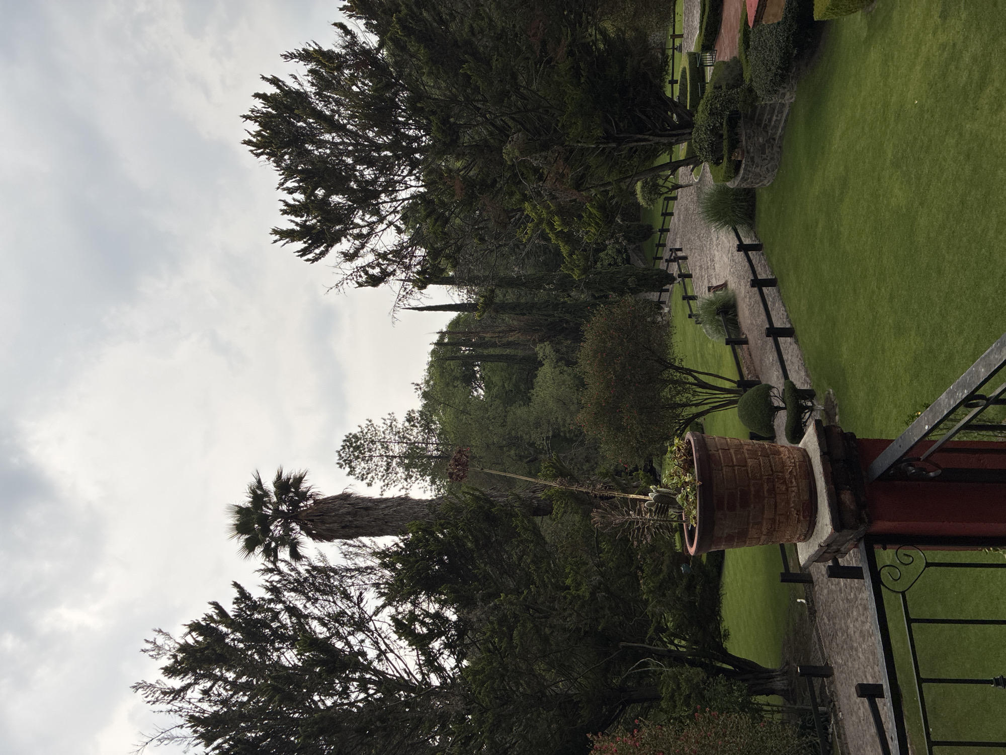 The image depicts a lush, well-maintained garden in Cañada de Madero, Mexico. A stone pathway bordered by a low, dark wooden fence meanders through a green lawn, past neatly trimmed hedges and shrubs. In the foreground, a large brick planter sits atop a ledge, filled with plants and foliage. Tall trees, including a palm tree with a weathered trunk, frame the scene on either side, reaching towards a cloudy sky. A wrought iron railing partially obscures the view, suggesting the perspective is from a balcony or elevated area. No people are visible in the frame.