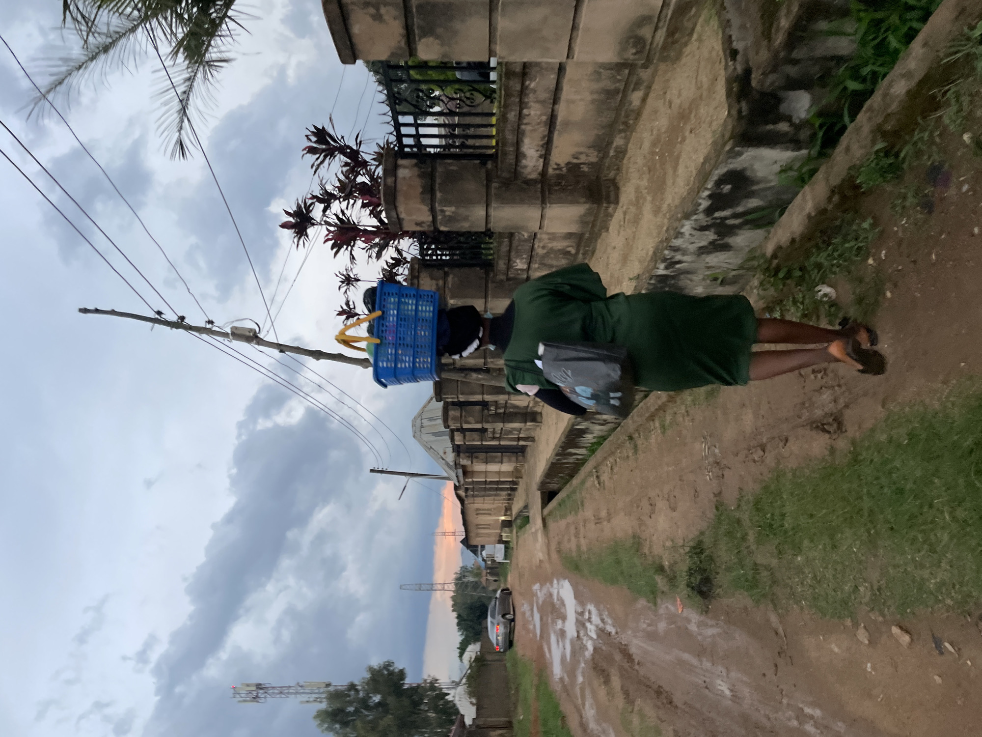 A woman walks along a dirt road in Barikin Jirga Summa, Nigeria, carrying a blue basket on her head filled with goods. She is wearing a green dress and carrying a grey bag in her left hand. The road is muddy and uneven, with puddles of water visible. On the right side of the road, there is a concrete wall with a black metal fence. Behind the wall, there are plants and buildings. In the background, there is a cell tower and trees. The sky is cloudy, and the lighting suggests it is either early morning or late evening.