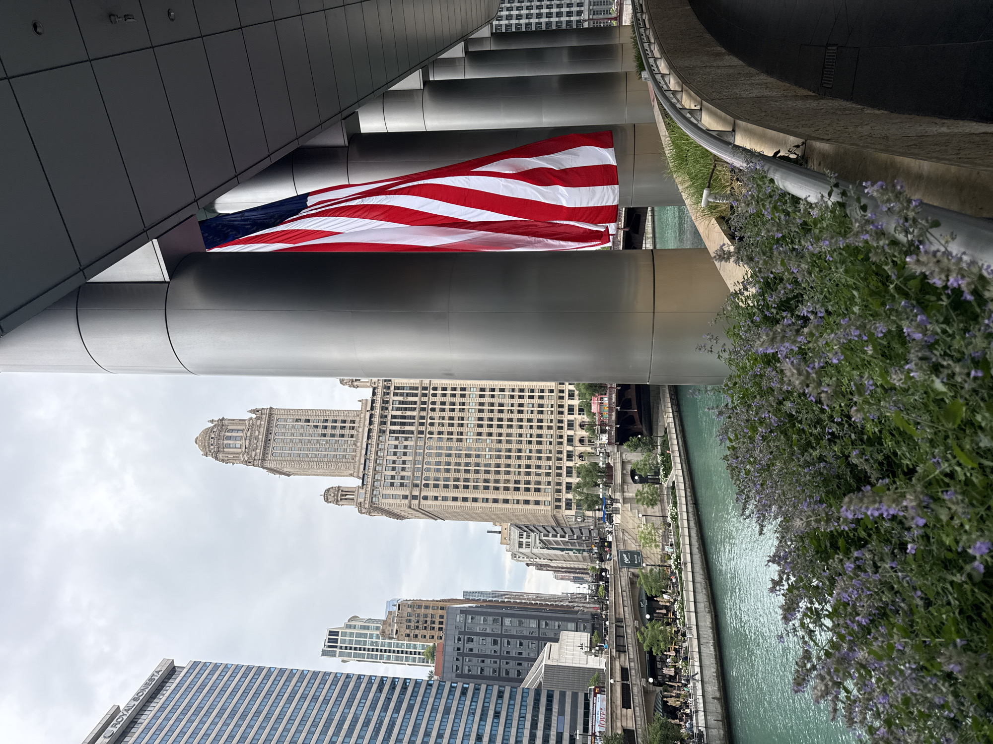The image depicts a view of the Chicago River in downtown Chicago, United States of America. In the foreground, a lush bed of flowering purple plants lines a curved walkway with a metallic railing. To the right, a large portion of an American flag hangs vertically from a modern building with large cylindrical pillars and a grey, tiled facade. The flag's red and white stripes are clearly visible.
Beyond the flag and building, the Chicago River flows with its characteristic turquoise water. Several bridges span the river, with the closest one featuring pedestrian walkways lined with trees and outdoor seating areas. In the background, a dense cityscape of various architectural styles rises under an overcast sky. Prominent buildings include the historic Wrigley Building and the art deco-style Tribune Tower, recognizable by their unique silhouettes and intricate detailing. The overall scene is urban and dynamic, capturing the essence of Chicago's architecture and waterfront.