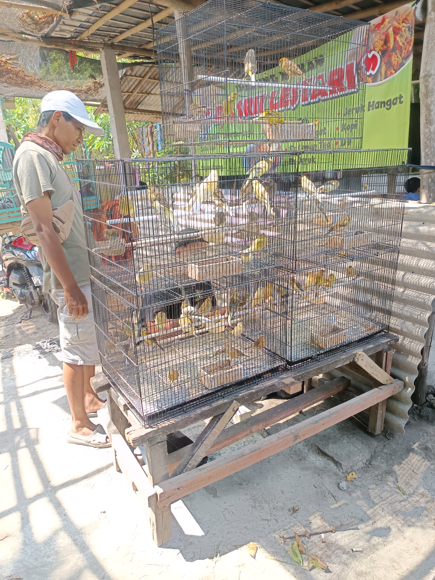 In the city of Geneng, Indonesia, a man wearing a white cap, olive green t-shirt, and beige crossbody bag stands beside a tall, multi-tiered birdcage. The cage is filled with numerous small yellow and brown birds. The man is looking down at the birds, seemingly inspecting them. Behind the man and the cages, there is a motorcycle. The scene appears to be outdoors, possibly a market or roadside stall, with a corrugated metal roof overhead providing shade. A green banner with red text and an image of food is visible in the background. The ground is made of concrete, and there is scattered debris. The lighting suggests it is daytime, with strong shadows cast by the sun.