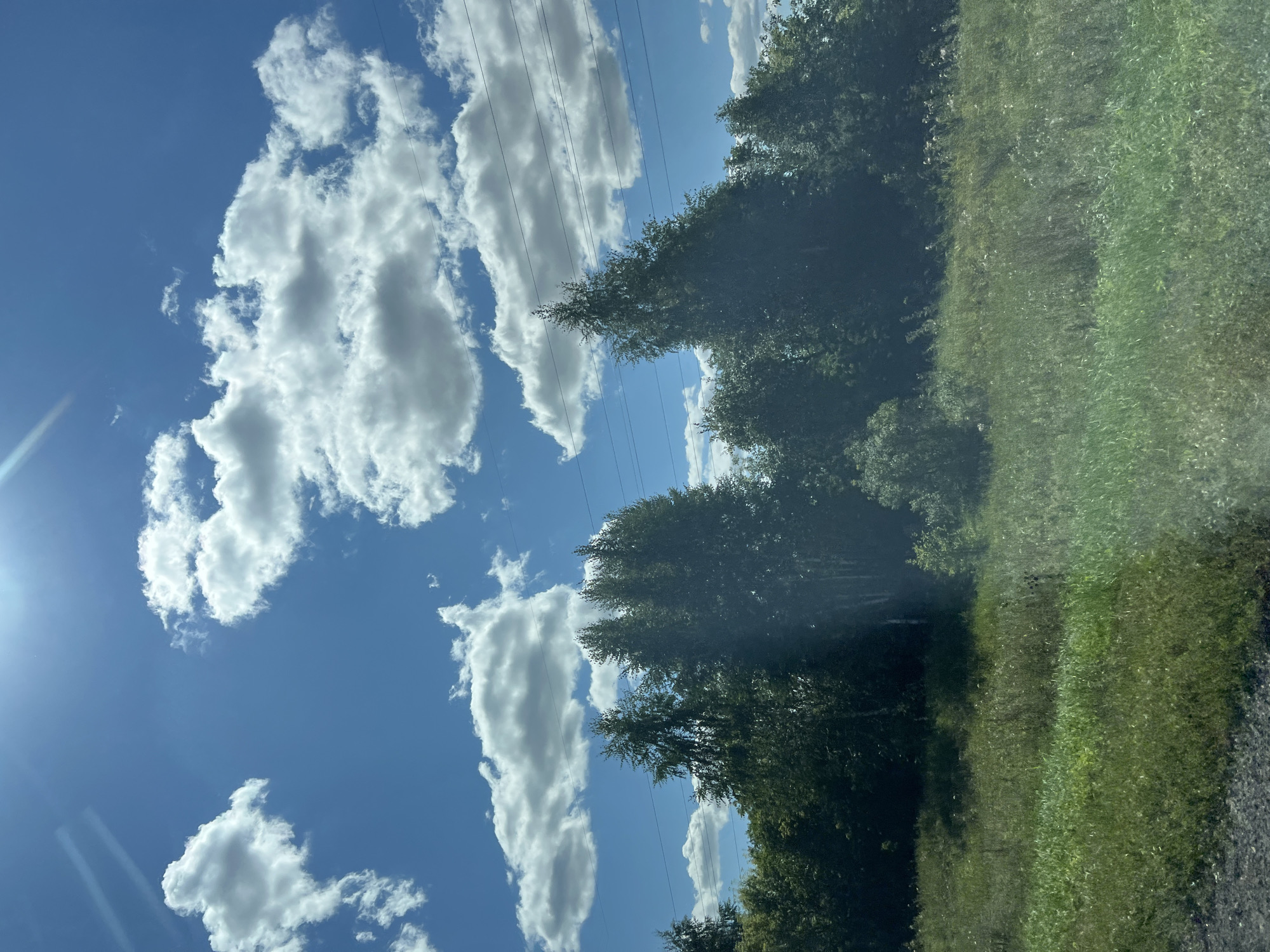 This is a daytime, landscape photograph taken from a low-angle perspective, likely from a vehicle. The scene depicts a rural or semi-rural environment with a focus on nature.

The upper portion of the image is dominated by a bright blue sky with scattered, fluffy white cumulus clouds. The sun is visible in the top left quadrant, casting light that creates lens flare and highlights on the clouds and sky. Several power lines are visible stretching horizontally across the frame, intersecting with the clouds and trees.

The middle ground features a dense line of trees, primarily deciduous with some evergreens, creating a dark green foliage line. The trees vary in height and density, with some appearing taller and more prominent than others. The sunlight filters through the leaves in some areas, creating dappled light effects.

The foreground consists of a grassy field, with the grass appearing long and somewhat unkempt. The field is predominantly green, with some patches of lighter green and yellowing grass, suggesting it might be a meadow or an uncultivated area. The ground in the very bottom of the frame appears to be a darker, rougher texture, possibly gravel or asphalt.

The photograph appears to be taken in a natural setting, devoid of any specific urban features that would pinpoint it to the city of Ozerki, Russia, beyond what the user has provided. There are no people or explicit actions depicted. The image is static and captures a moment in time of a natural landscape under a bright, cloudy sky.