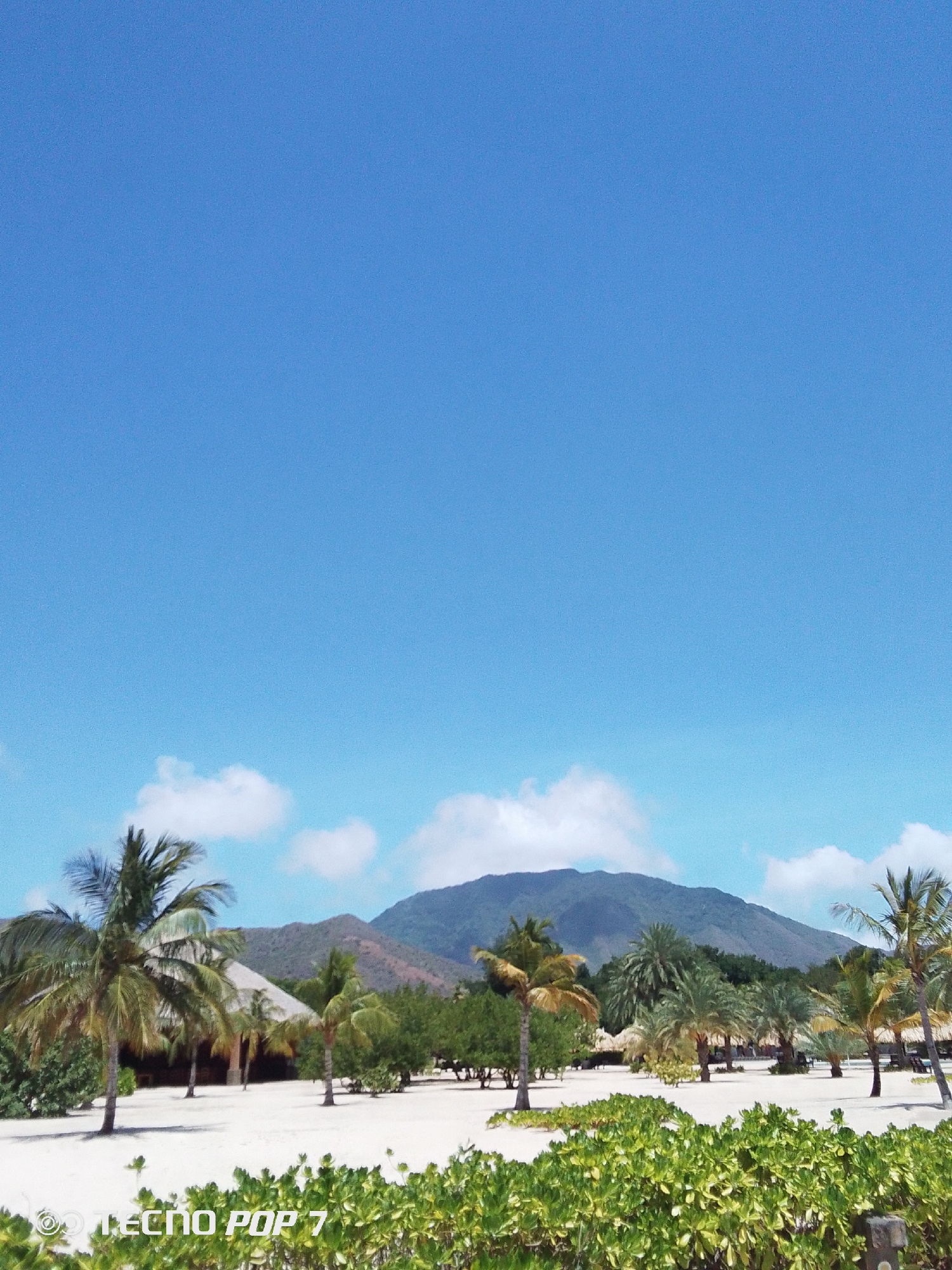 A daytime view of the Playa Paraiso in Pedro González, Venezuela, showcases a white-sand beach dotted with palm trees and tropical vegetation in the foreground. Behind the trees, a mountain rises in the background under a clear blue sky with a few scattered clouds. Small, thatched-roof structures are visible among the trees. The foreground includes low-lying green shrubbery. A camera watermark "TECNO POP 7" is located in the lower left corner of the image.