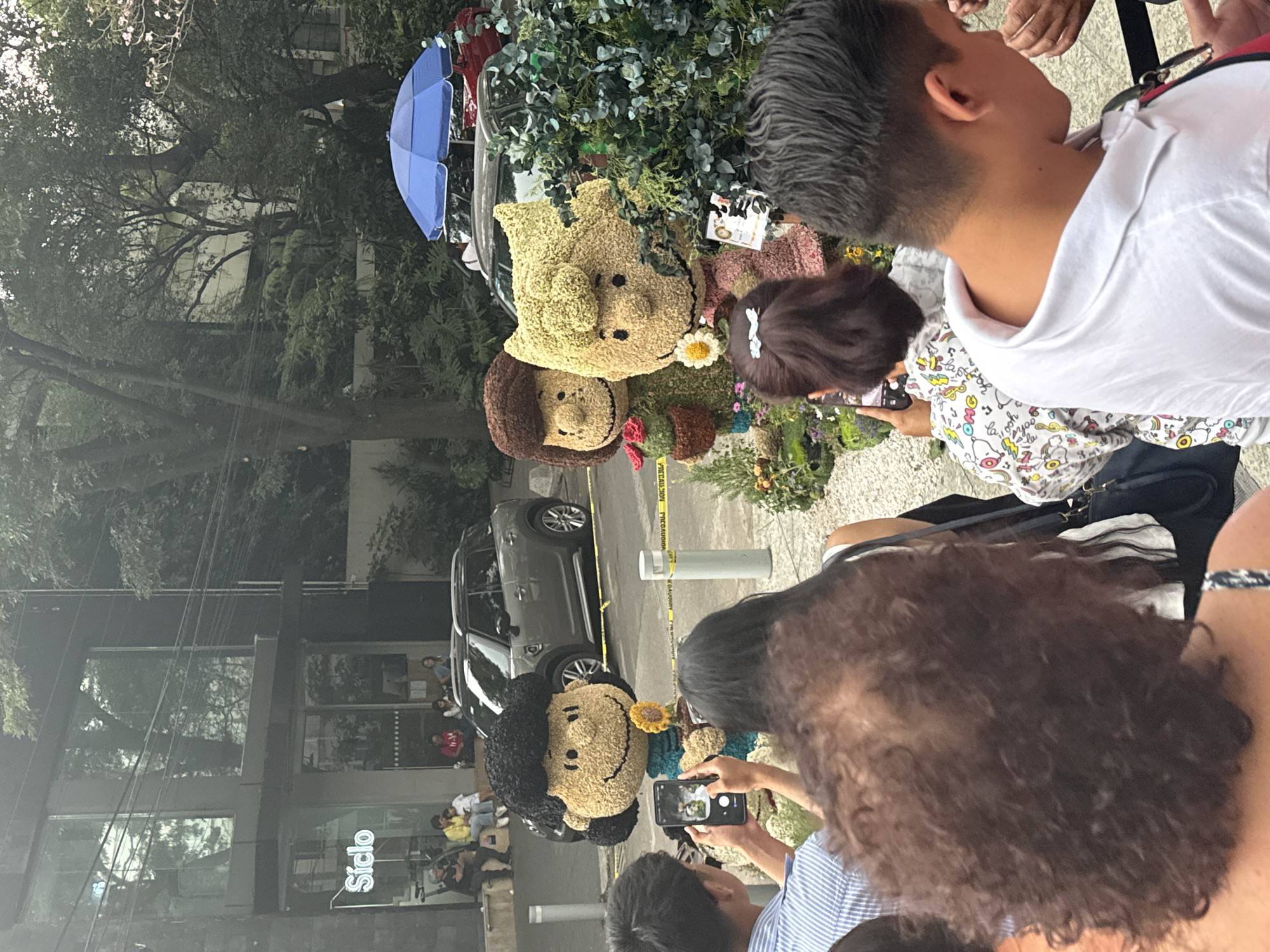 Captured at an eye-level perspective, the image shows a crowded scene in Mexico City, Mexico. People are gathered around a display featuring figures of Charlie Brown characters. The figures are constructed from flowers and other natural materials, possibly as part of a parade or festival event. Several individuals are holding up their phones to take pictures of the display. The foreground is occupied by the backs of people, including their hair and shoulders, which provide depth to the photograph. Behind the flower figures is a silver SUV parked on a city street, with a building visible in the background. The building has large windows and a sign that says "Siclo." A scattering of people are sitting along the building's exterior. Trees provide a natural backdrop, partially obscuring buildings across the street.