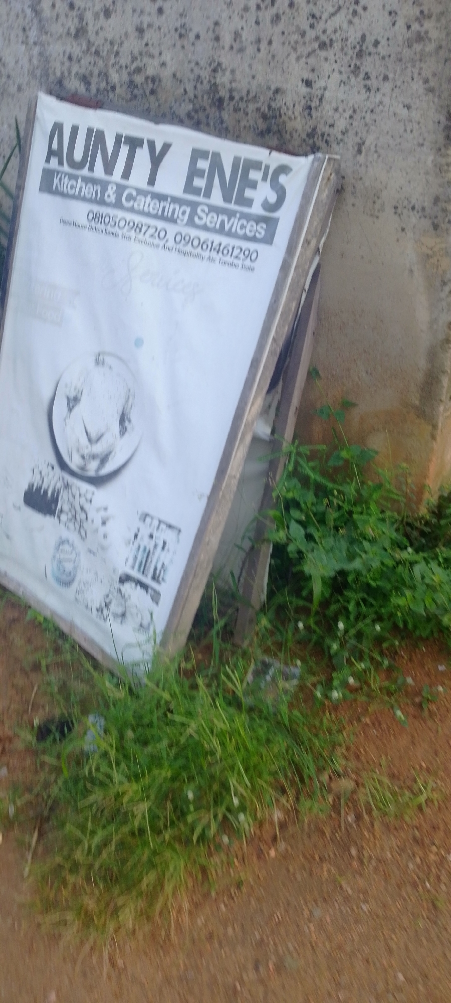 This media file shows a weathered white sign tilted against a rough concrete wall, partially obscured by lush green grass and some dirt. The sign, which appears to be an advertisement, displays the text "AUNTY ENE'S Kitchen & Catering Services" prominently at the top. Below this, there are phone numbers and some smaller, less legible text, possibly an address or slogan. The sign also features a circular image of what looks like a cooked chicken or turkey. The overall scene suggests an outdoor setting, possibly a roadside or a less maintained area, given the presence of weeds and the rustic wall. The lighting appears to be natural daylight, with no strong shadows to indicate a specific time of day, but the overall ambiance is one of an everyday scene in a tropical or subtropical environment, consistent with the provided location context of Jalingo, Nigeria. There are no people or animals visible in the frame. The focus is on the sign and its immediate surroundings, with the background of the concrete wall and foreground of grass and dirt contributing to a somewhat neglected but functional aesthetic. The image captures a glimpse of local commerce or services available in the area.