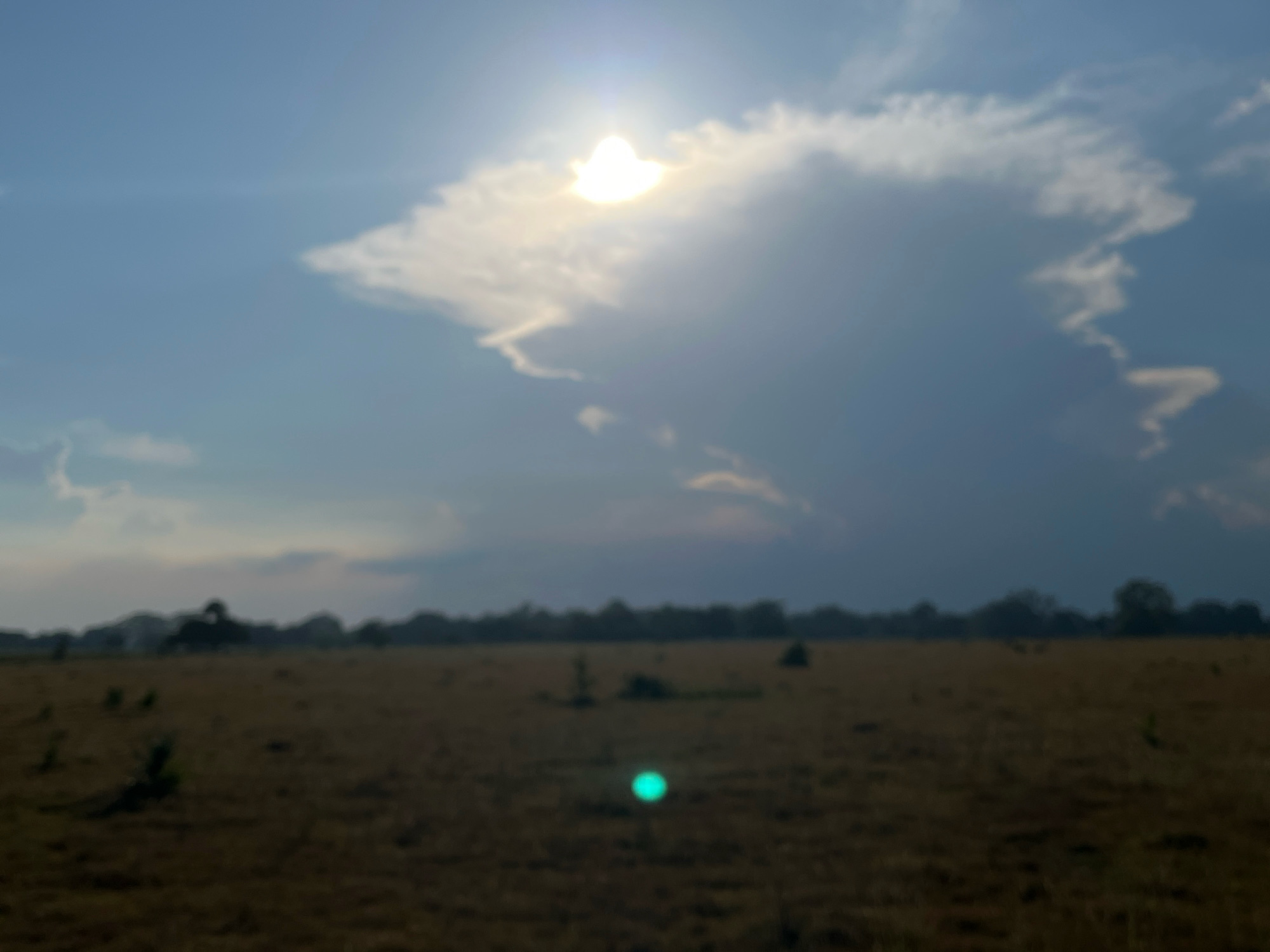 This is a blurred, wide-angle photograph of a wide, open field under a cloudy sky. The sun is partially obscured by a large, white cloud formation, creating a bright halo effect. The field in the foreground is covered in dry, brown grass with sparse, dark vegetation. In the background, a line of trees and foliage marks the edge of the field, with some structures visible among them. A bright, teal-colored orb of light is present in the middle of the field, appearing as a lens flare or a light source within the image. The overall impression is one of a rural or natural landscape. The location is El Limonal, Mexico.