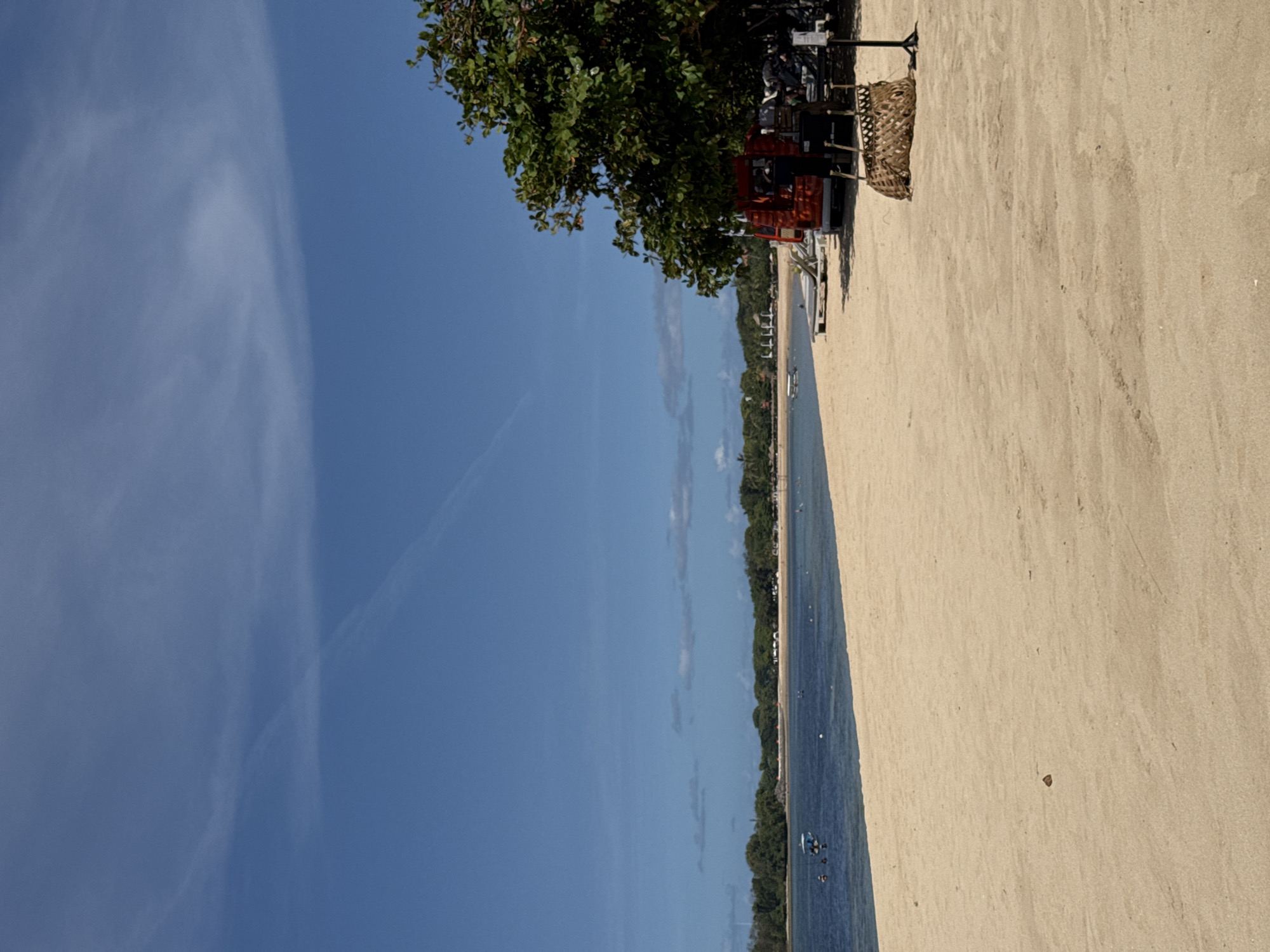 This is a landscape image of a beach in Kuta Selatan, Indonesia. The photograph shows a sandy beach stretching along the right side of the frame, meeting the ocean. Along the shoreline, trees are planted along a linear path, creating a visual division between the sand and the water.
The sky occupies the left portion of the image, colored blue. A few clouds are visible in the sky. The edge of a tree is noticeable in the upper right corner, along with other materials such as a woven basket.