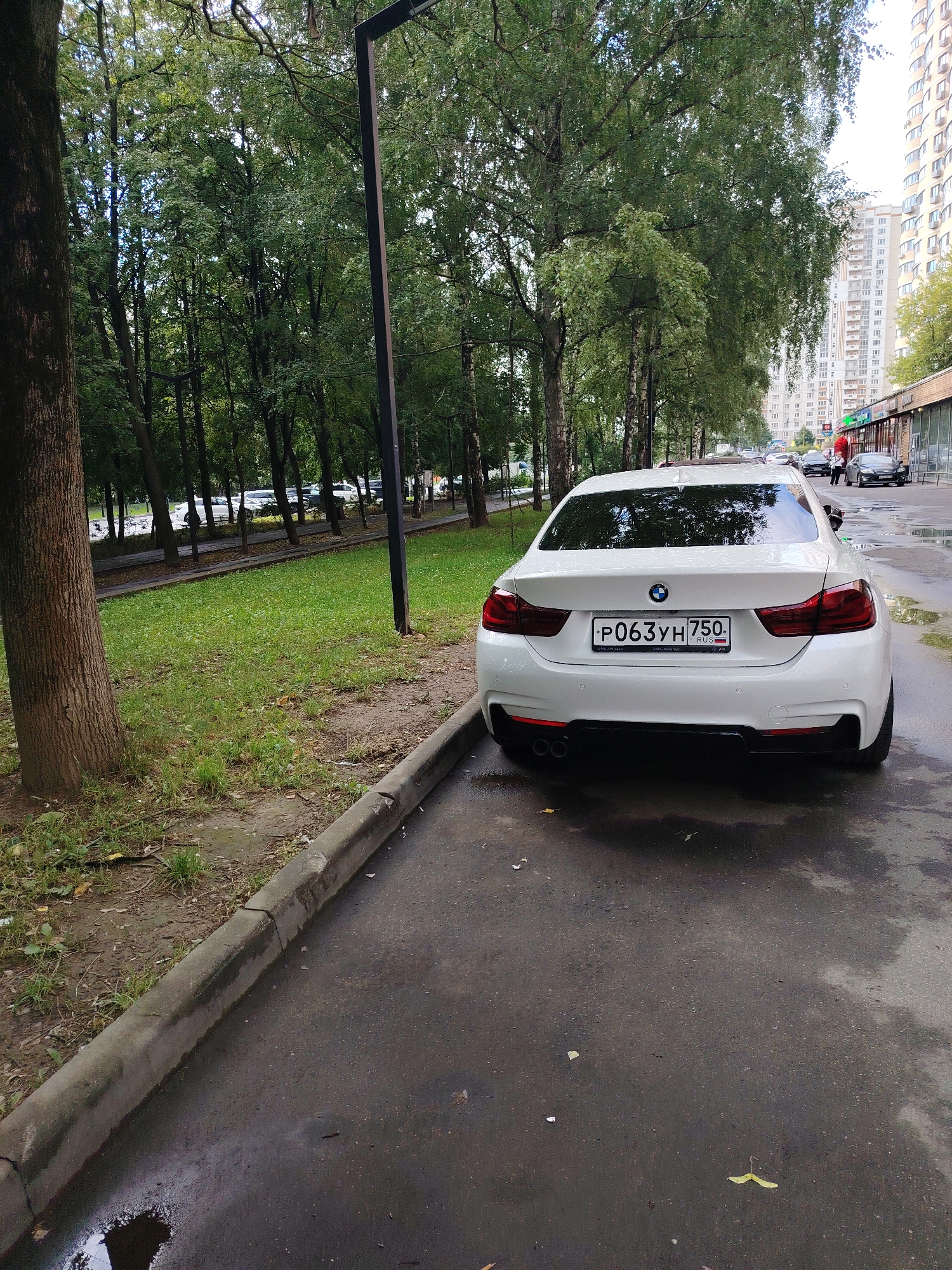 A white BMW sedan is parked on the right side of a wet asphalt road, with its rear facing the camera. The car's license plate reads "P063YH 750". To the left of the car, a grass-covered area borders a sidewalk with a concrete curb. Beyond the grass, a row of trees forms a tree line, and in the distance, a multi-story building is visible. The scene appears to be in a residential or commercial area within the city of Dolgoprudny, Russia, indicated by the Russian license plate and the architecture of the building. The weather appears to be overcast, with evidence of recent rain on the road. No people are clearly visible in the immediate vicinity of the car.