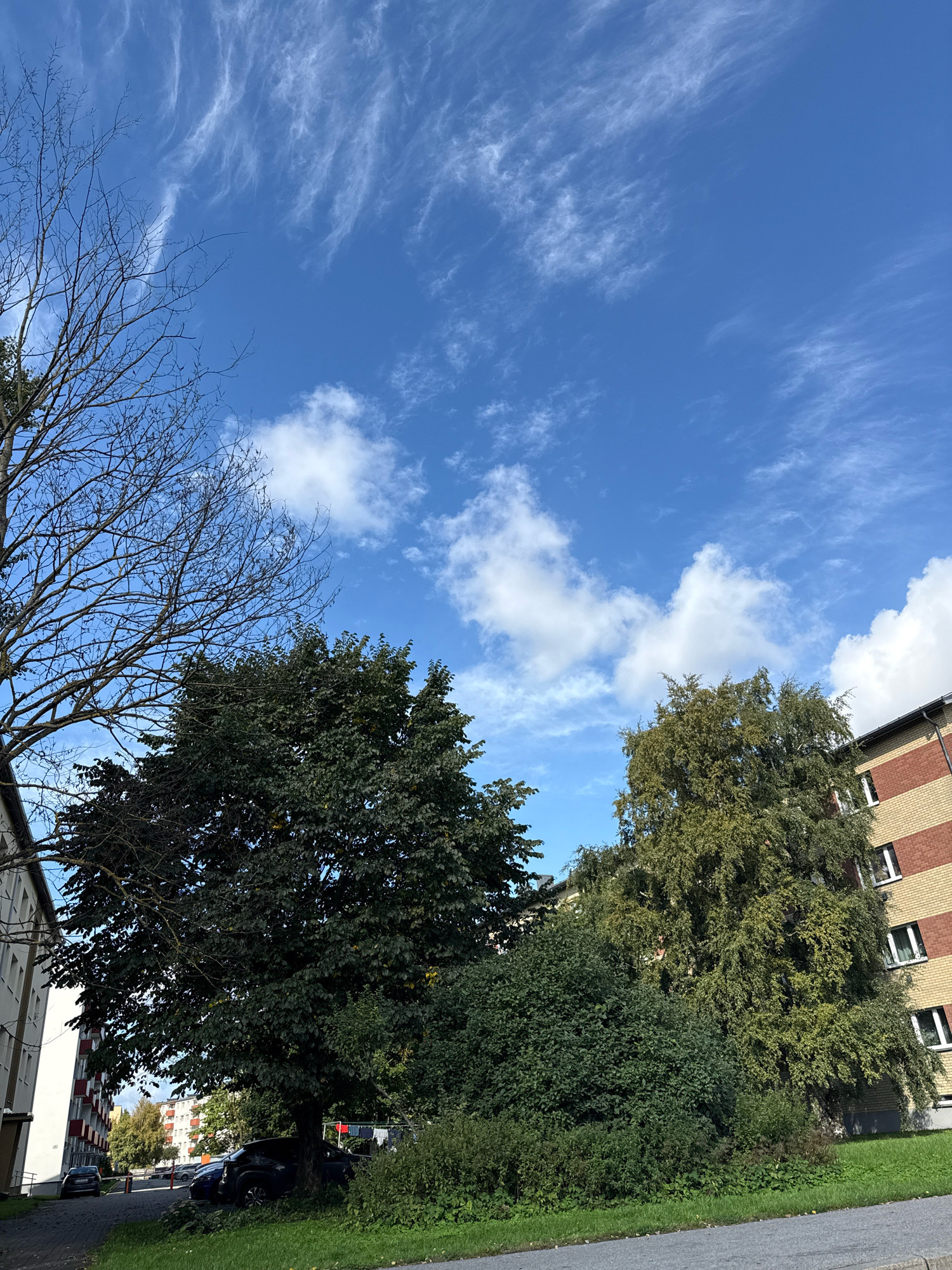 This is an eye-level, medium shot of a residential area in Tallinn, Estonia, on a sunny day with a blue sky and wispy clouds. In the foreground, a paved area with a gray asphalt road runs diagonally from the bottom right to the bottom left. To the right of the road is a strip of green grass. Behind the grass is a dense collection of trees and bushes, predominantly dark green.
To the right of the greenery is a multi-story apartment building constructed with yellow bricks and red horizontal stripes. It has several windows with white frames.
To the left of the apartment building and the trees is another apartment building, this one appears to be lighter in color, possibly white or light gray, with visible windows and balconies with red railings.
Several cars are parked on the paved area, including a dark blue SUV, a black sedan, and another dark vehicle. In the background, more apartment buildings are visible, some with balconies.
The sky is a vibrant blue, dotted with scattered white, feathery clouds and some larger, puffy clouds. A large deciduous tree with bare branches extends from the upper left corner of the image, suggesting it might be autumn or early spring. The overall impression is a typical urban residential scene.