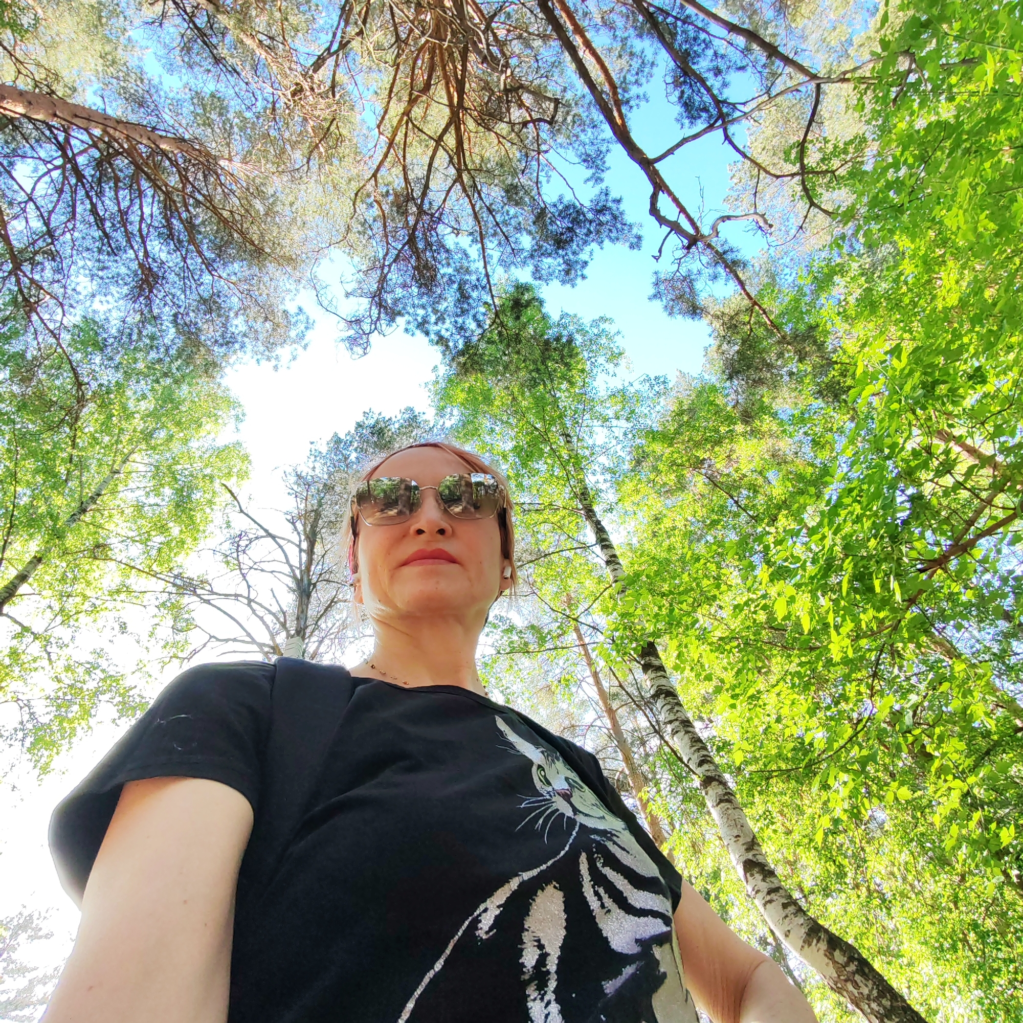 The image shows a woman wearing sunglasses and a black t-shirt with a cat design, looking up at the sky through a dense forest canopy. The environment consists of various trees, including what appear to be birch trees on the right side of the frame, and coniferous trees whose branches are visible overhead. The sky is visible through gaps in the canopy. The location is Chaikovsky, Russia.