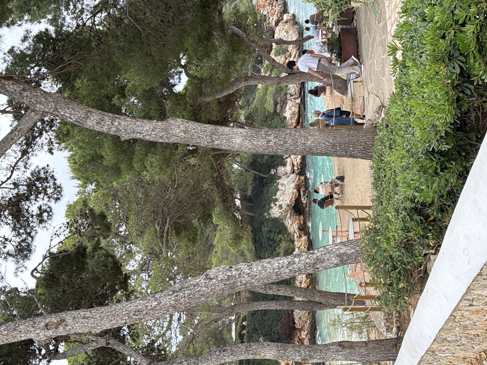 The image shows a view of Cala d'en Perelló in Santanyí, Spain, from a higher vantage point, likely a restaurant or terrace. Several pine trees frame the scene. People are seen relaxing at tables along the beach and on a paved area. The turquoise water of the cove is visible. A man in a white shirt and khaki pants stands near the edge of the paved area, looking out towards the water. Tables, chairs, and a metal grill or container are present on the paved area. A white stone wall and dense green shrubs are on the right side of the frame.