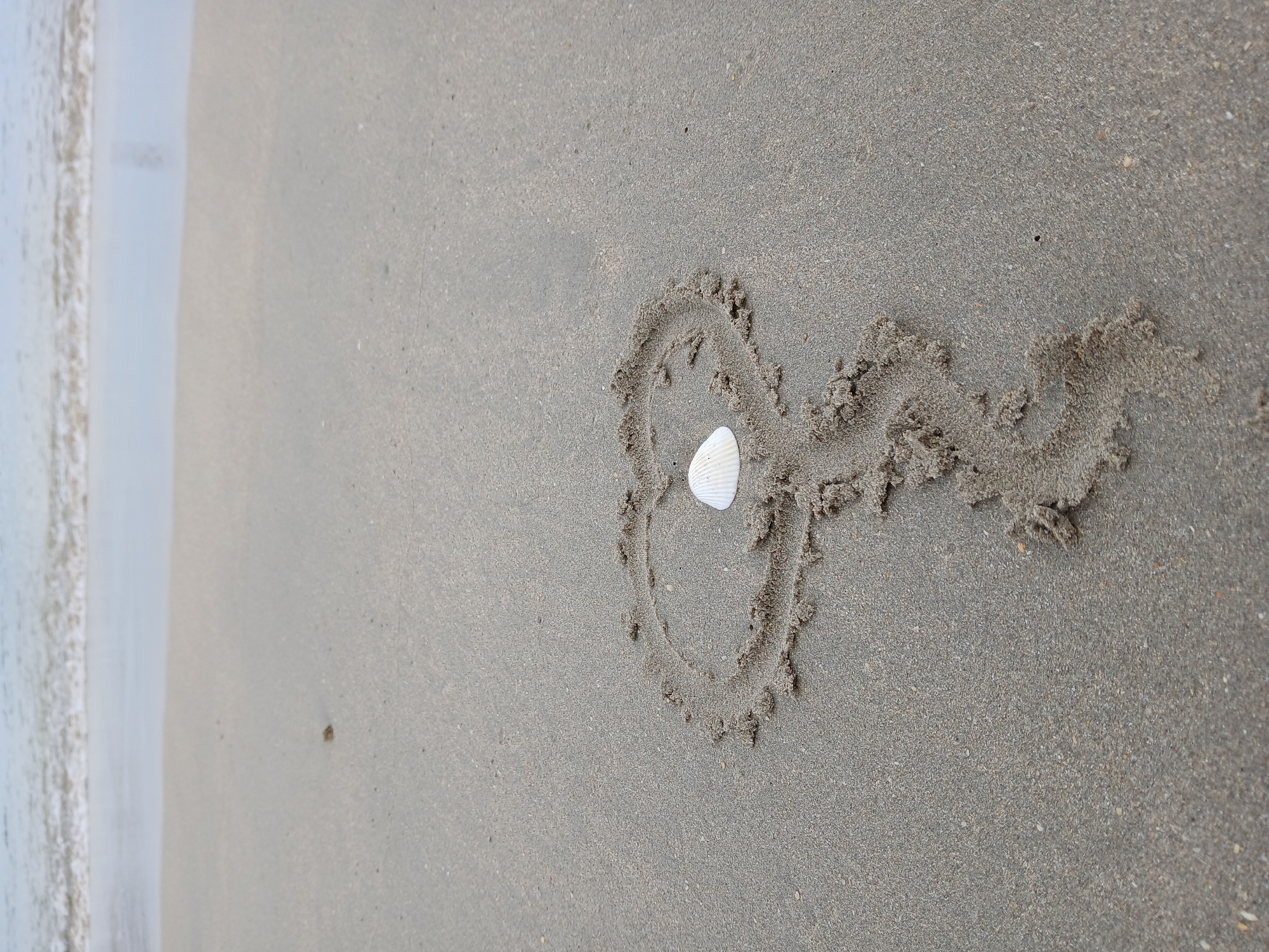 The image shows a sandy beach in Juan Griego, Venezuela. A white seashell rests within a circle drawn in the sand. A line extends from the circle. Ocean water is visible on the left.