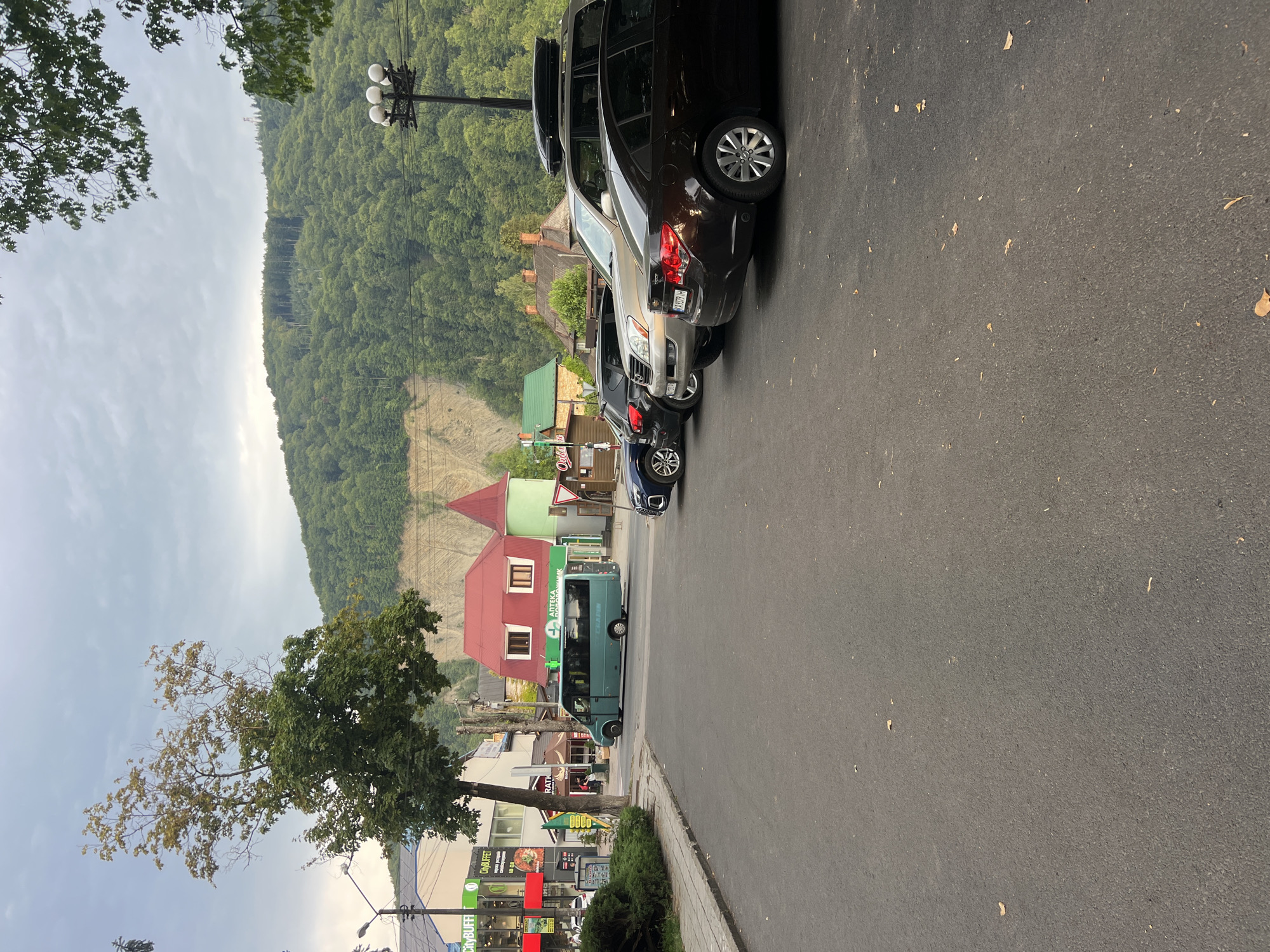 The image depicts a street scene in Yaremche, Ukraine, with a row of parked cars on the right side of the asphalt road. The cars, from front to back, appear to be a dark sedan, a silver SUV with a roof-top cargo carrier, a light-colored SUV, and a dark hatchback. A teal-colored minivan is driving in the left lane of the road.
On the left side of the road, a sidewalk lines the street, with a lush green hedge bordering it. Beyond the sidewalk, several buildings are visible, including storefronts with signage like "City Buffet" and "АПТЕКА" (Apteka, meaning Pharmacy). A tall green tree with partially yellowed leaves stands prominently near the left edge of the frame, partially obscuring the buildings.
In the background, a steep, tree-covered mountain slope rises dramatically. The sky is overcast with a muted gray hue. The overall impression is a somewhat quiet, overcast day in a town nestled in a mountainous region. There are no visible people in the image.