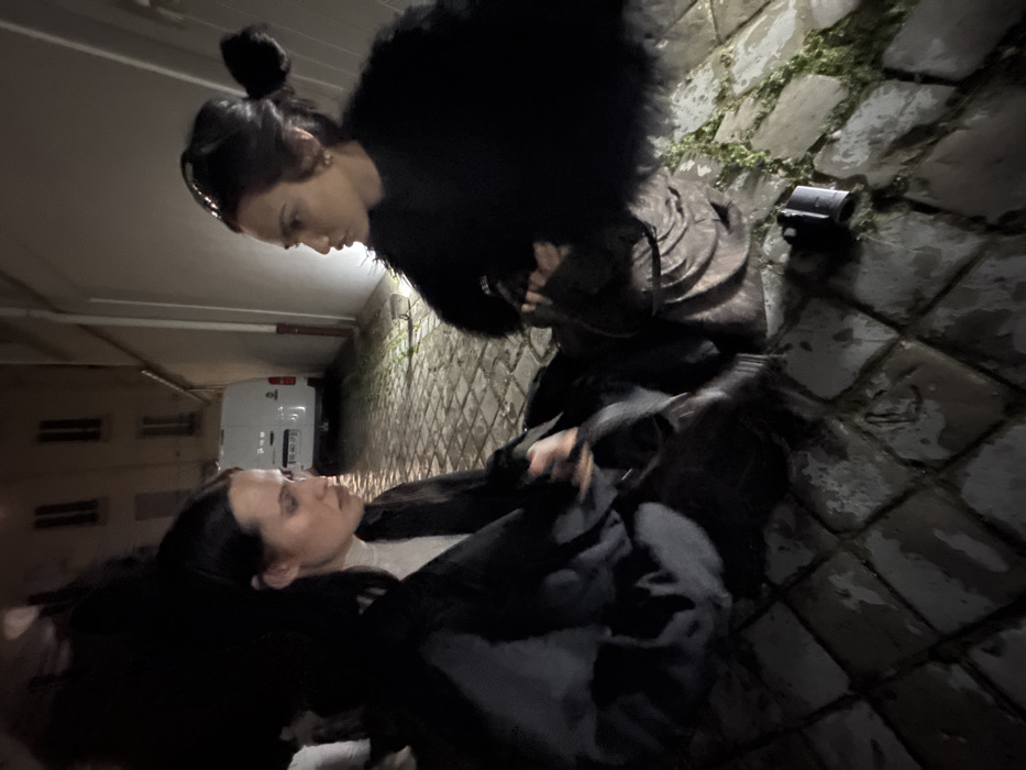 The scene depicts a dimly lit, wet cobblestone alleyway in Paris, France, at night. Two adult women are crouched low on the ground, facing each other in profile. The woman on the left has dark hair, wears a white turtleneck beneath a dark overcoat, and is looking towards the woman on the right. Her hands are positioned low, appearing to hold or interact with a dark object. The woman on the right has dark hair styled into a bun, wears a dark, textured or fur-like garment over a patterned lower garment, and is looking towards the woman on the left. Her hands are also positioned low, interacting with an object on the ground. Between the two women, on the wet cobblestones, a small dark cylindrical object and another dark, rectangular object are visible. In the background, a white commercial van with the French license plate "BD-442-DJ" is parked, with a multi-story building featuring dark windows behind it. A light source is visible on the ground near the wall on the right, and sparse green vegetation grows between the cobblestones. The ground appears uniformly wet.