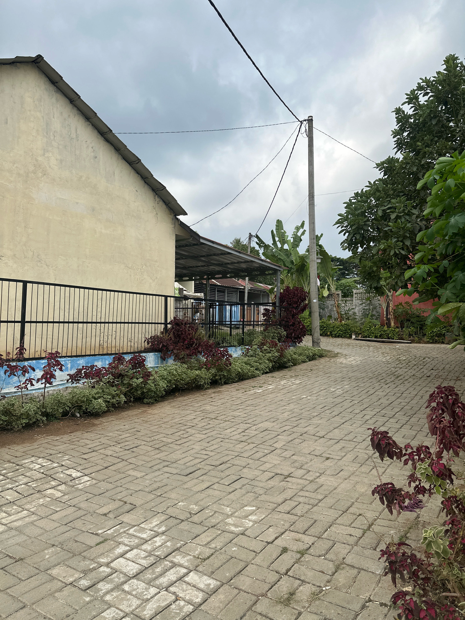 The image depicts a view of a paved walkway in Saruni, Indonesia. The walkway is constructed of interlocking concrete pavers, some of which are lighter in color, suggesting wear or cleaning. To the left of the walkway is a building with a light yellow stucco exterior and a metal-framed awning extending outwards. A black metal fence runs along the base of the building, separating it from a garden bed. This garden bed contains a variety of plants, including low-lying green foliage and taller plants with dark red leaves.
Further into the scene, a concrete utility pole stands tall, supporting electrical wires that stretch across the sky. Beyond the utility pole and to the right, lush green trees and banana plants are visible. In the background, other structures with metal roofs and fences can be seen, suggesting a residential or communal area. The sky is overcast with gray clouds. There are no people or animals visible in the image.