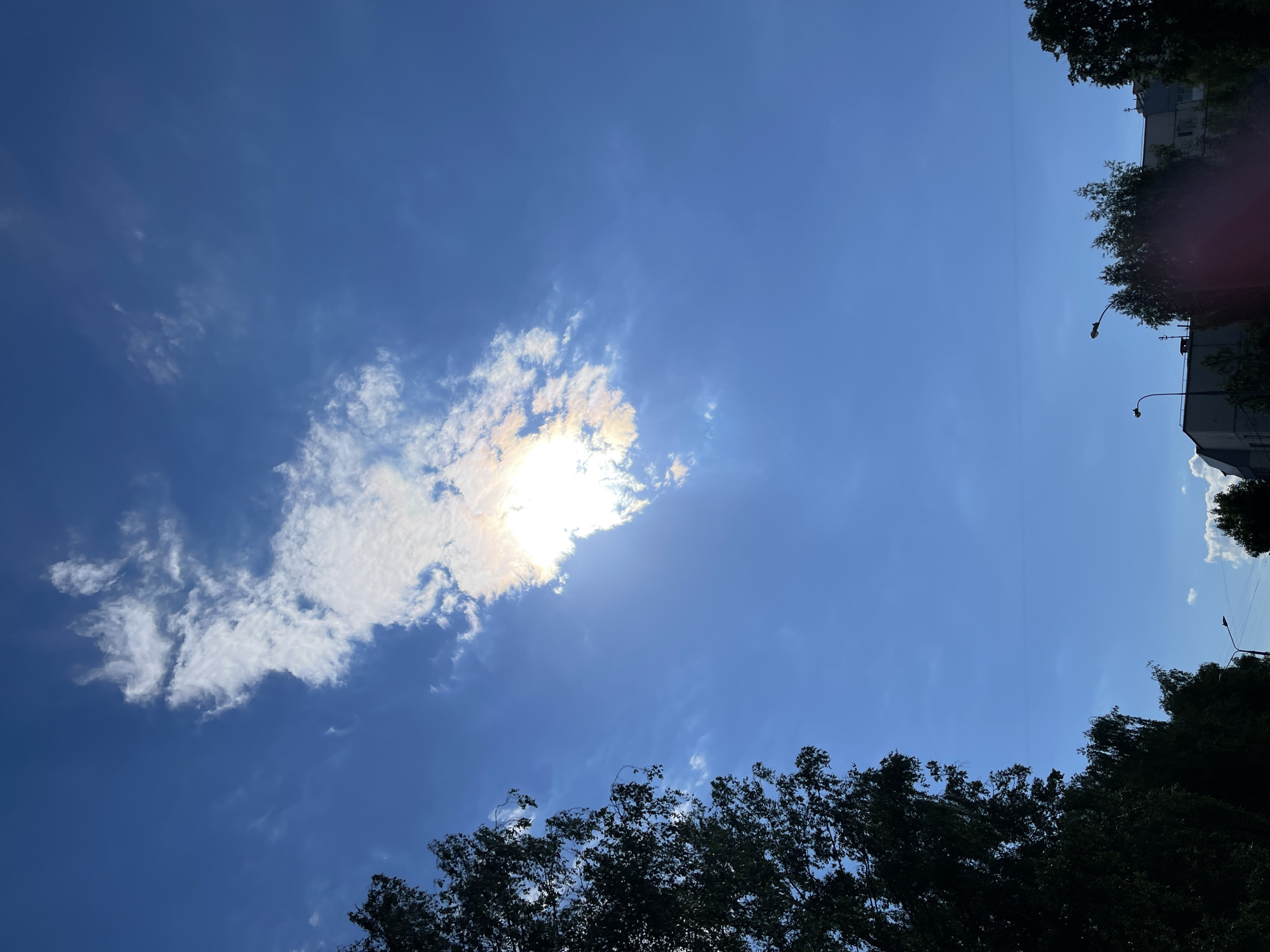 The image captures a bright, clear blue sky dominated by the sun. A large, fluffy white cumulus cloud in the mid-left portion of the frame partially covers the sun, causing an intense, glowing halo effect and bright light to emanate from behind and through the cloud. Smaller, wispy white clouds are scattered across the upper and lower parts of the sky.
Along the bottom edge of the image, the dark green foliage of numerous trees is visible, suggesting a canopy or dense tree line. Similar tree tops also appear on the right side of the frame. On the far right edge, silhouetted dark shapes of urban buildings or apartments are visible, along with two distinct streetlights extending upwards from the bottom right corner. A faint, thin wire or cable can be seen stretching horizontally across the blue sky, roughly through the center of the image.
The scene depicts a sunny daytime setting, likely mid-morning or afternoon, given the intensity of the light. The weather is fair with scattered clouds. The combination of trees, urban buildings, and streetlights indicates an urban or suburban environment, consistent with the location context of Moscow, Russia. There is no visible text in the image.