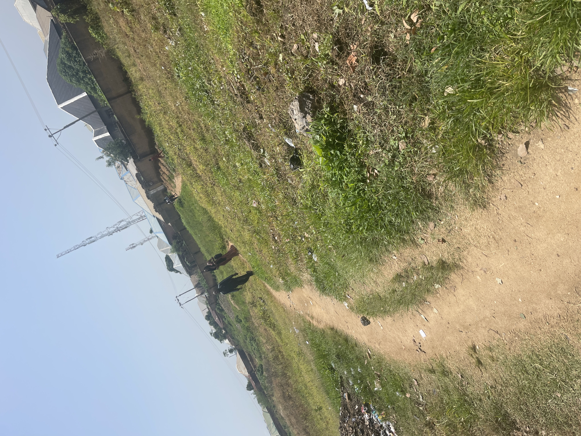 The image depicts an outdoor scene in Rafin Par, Nigeria. A dirt path winds through overgrown grass and vegetation. On the path, two cows are visible, one darker and larger than the other, which appears to be a reddish-brown. In the background, a row of buildings with dark roofs runs alongside the path, interspersed with trees and greenery. Electrical transmission towers and power lines are also prominent in the background, suggesting the presence of infrastructure. The sky is a clear, pale blue, indicating daylight. There are scattered pieces of trash and debris along the path and in the grass, suggesting a somewhat neglected environment. The overall impression is a rural or semi-urban setting with a focus on natural elements and the presence of livestock.