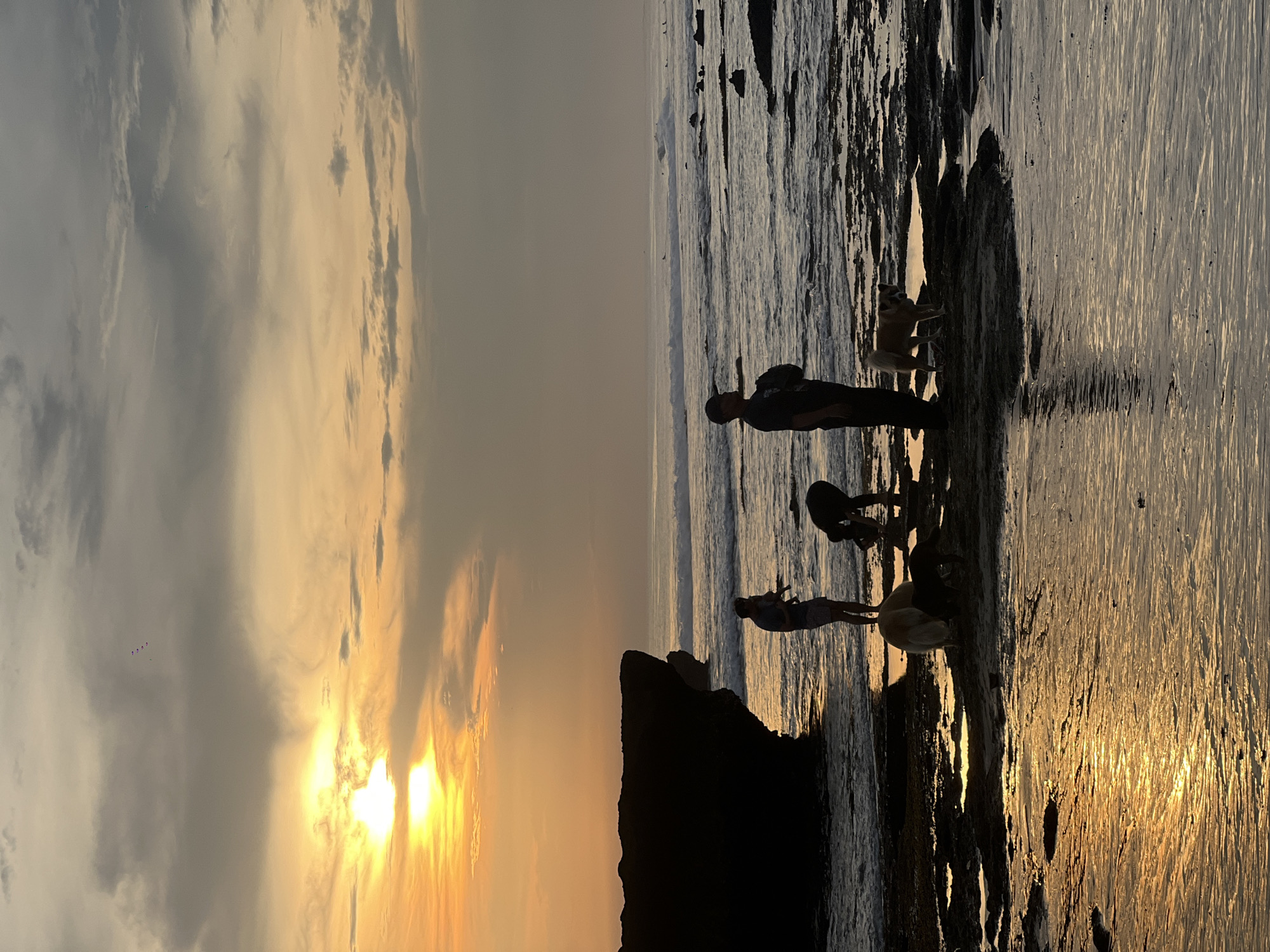 The photo shows a silhouetted scene at sunset in Canggu, Indonesia. A man wearing a hat and carrying a backpack stands on a dark, rocky outcropping extending into the ocean. Near him are two dogs. Further along the rocks, another adult holds a child. The setting sun reflects off the ocean's surface creating bright, vertical streaks of light. The sky is a mix of gray clouds and orange light from the setting sun.