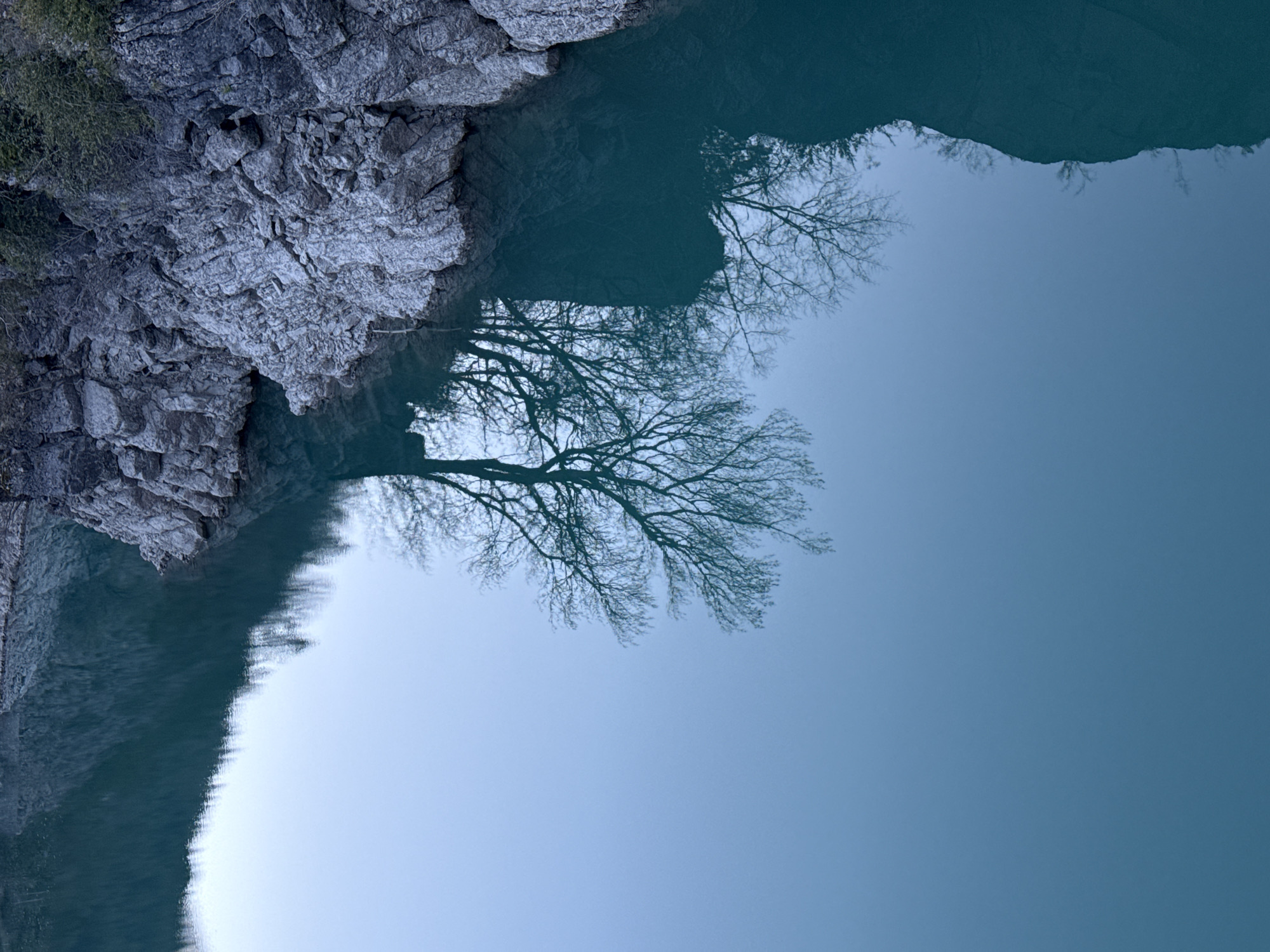 The image shows a landscape reflection in water, likely a lake or river. The landscape consists of a rocky cliff face covered in rough, gray rock formations. A bare tree with intricate branches stands at the edge of the cliff, partially reflected in the water. The water's surface is calm, providing a mirror-like effect, reflecting the cliff and the tree. The overall tone of the image is blue, with varying shades depending on the reflection and lighting. The location in Castellane, France, is implied but not directly observable. The scene depicts nature without any people or visible human activity. The primary focus is on the natural environment and the reflections within the water.