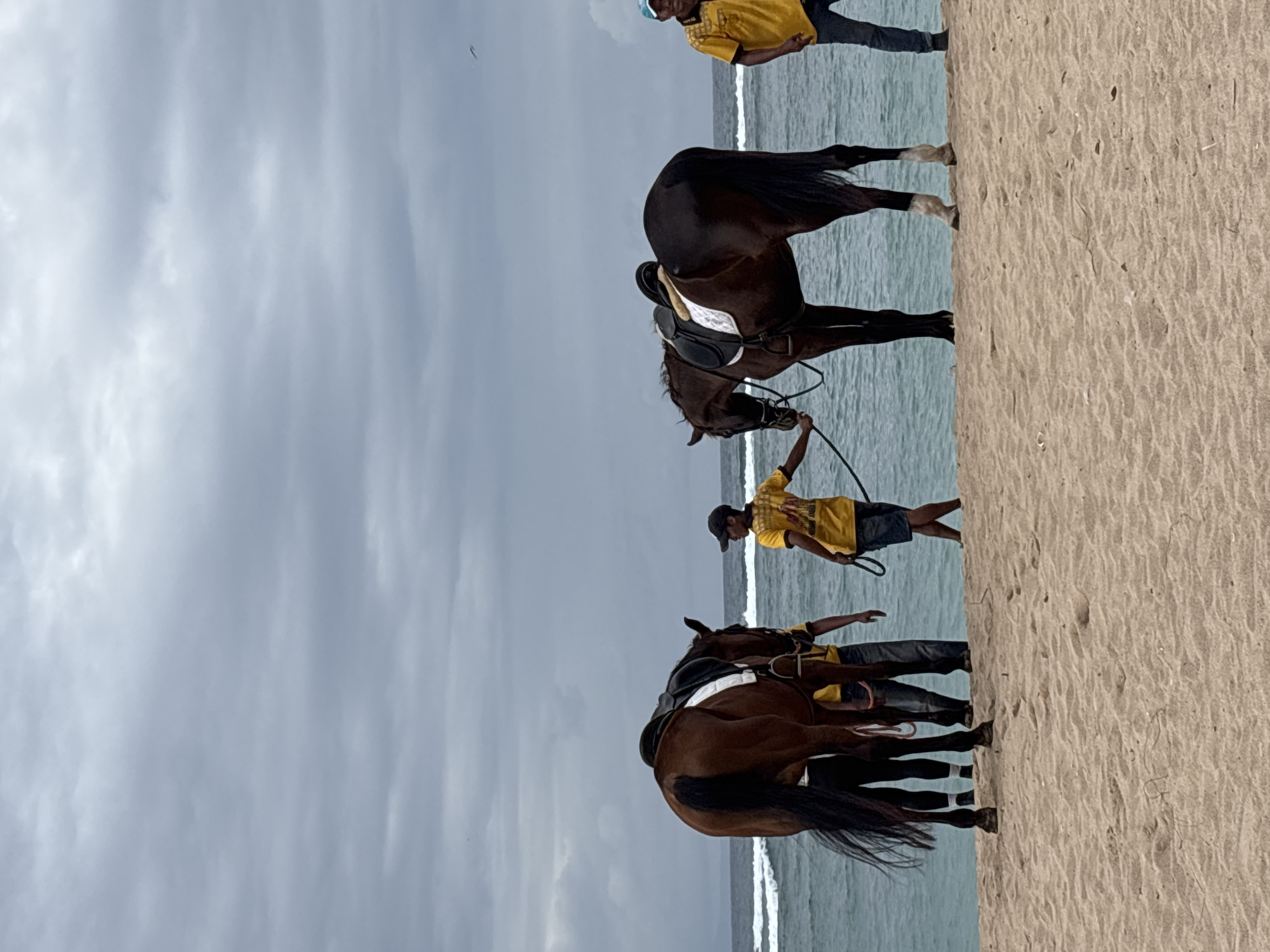 Three men are on a sandy beach in Kuta Selatan, Indonesia, standing next to two brown horses. The sky is overcast with grey clouds. One man, wearing a yellow t-shirt and black baseball cap, holds the reins of a horse. Another man, also in a yellow t-shirt, is partially visible behind the first horse. A third man, wearing a yellow t-shirt and blue cap, stands to the right of the second horse. The ocean is visible behind the men and horses, with waves breaking on the shore. The sand is light brown and textured. The scene appears to be a horse riding attraction on the beach.