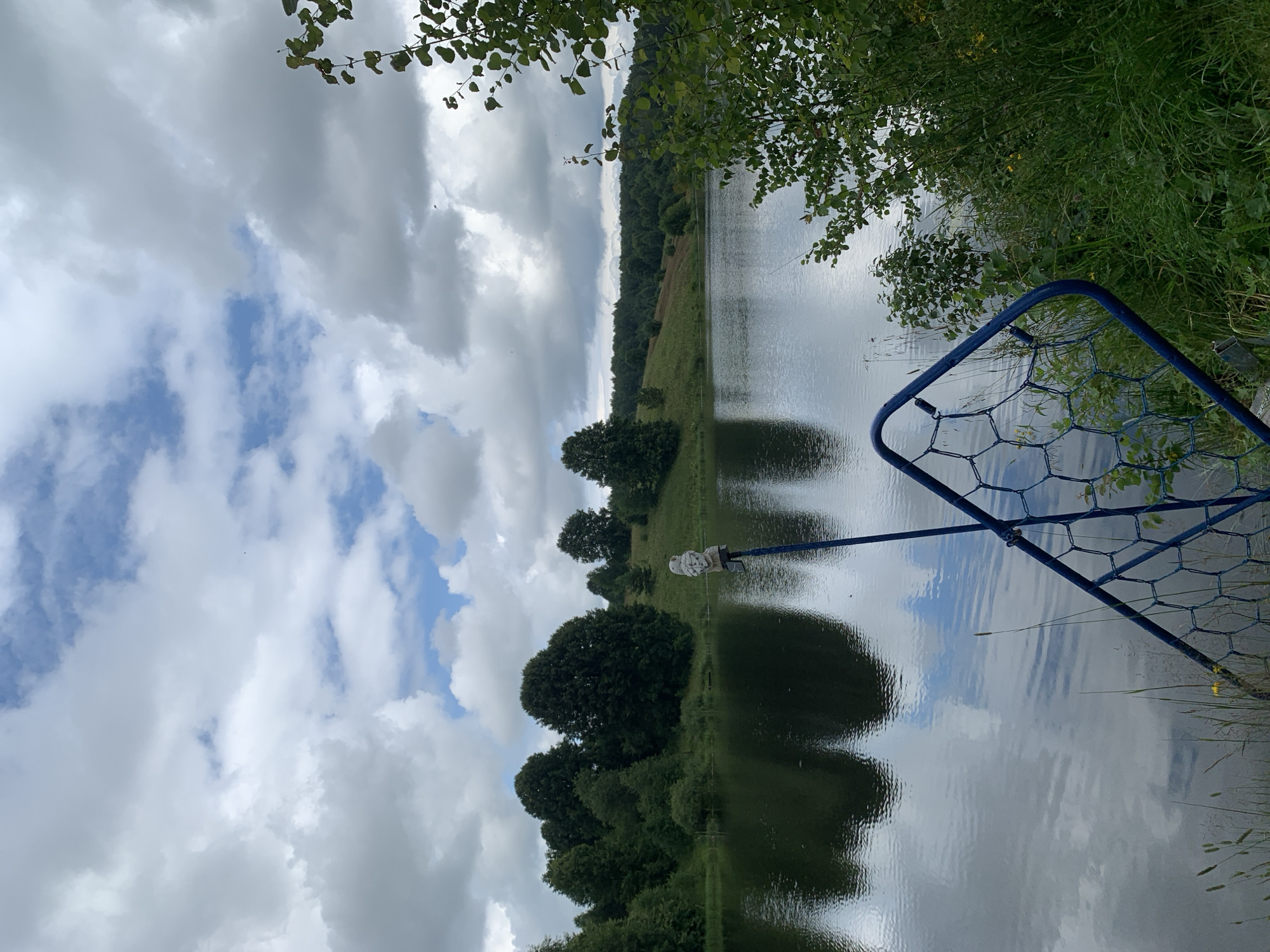 The image depicts a serene landscape scene by a body of water, likely a lake or pond, with lush green hills and trees in the background. The sky is partly cloudy, with a mix of white and gray clouds. In the foreground, a blue metal structure, possibly part of a fence or netting, is visible, with a small owl figurine perched on a blue pole in front of it. The water's surface reflects the sky and the surrounding greenery. The overall impression is one of natural beauty and tranquility.
This image is located in the village of Zasechnyi, Russia. The scene is typical of the rural landscape found in this region, characterized by its rolling hills, dense forests, and calm bodies of water. The presence of the owl figurine suggests a touch of human presence or artistic expression within the natural setting.